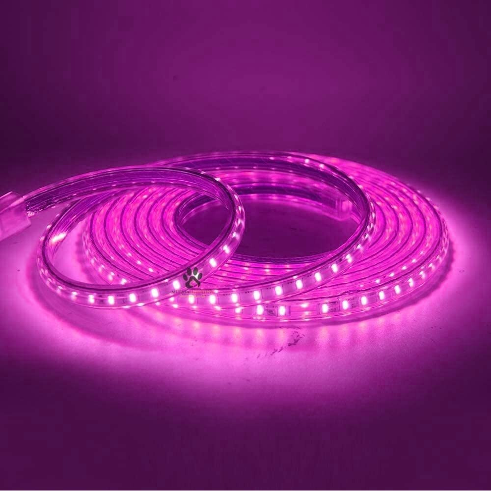 Mufasa LED Rope Light Indoor Outdoor Strip Home Decoration Lights, Diwali Festival Lights False Ceiling, Balcony 220V AC (Non Adhesive Back) (Pink, 5 Meter)