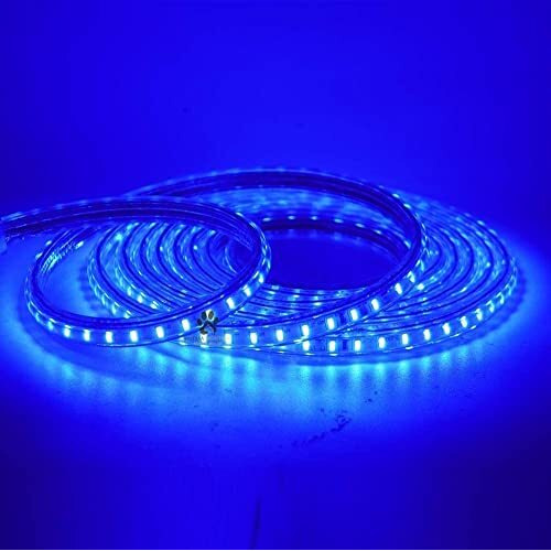 Mufasa LED Rope Light Indoor Outdoor Strip Home Decoration Lights, Diwali Festival Lights False Ceiling, Balcony 220V AC (Non Adhesive Back) (Blue, 10 Meter)