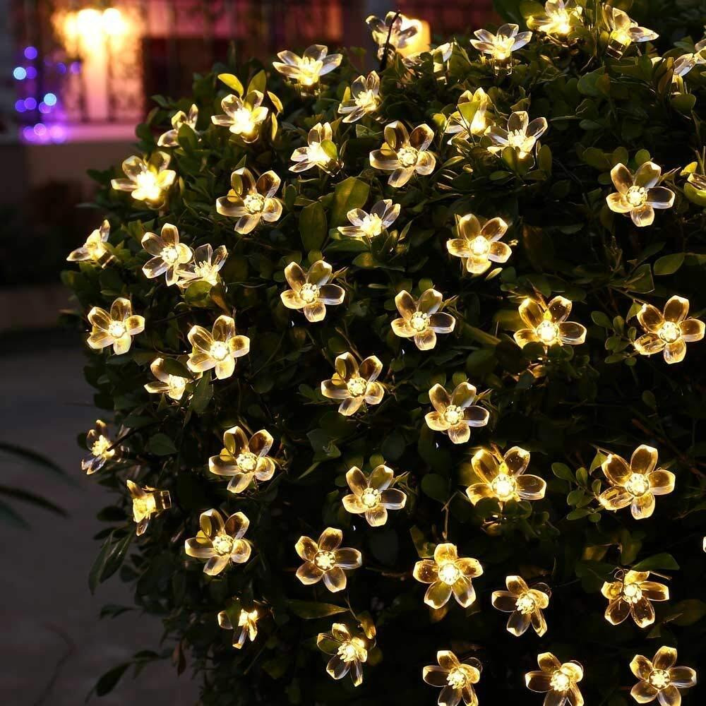 PESCA Flower Fairy String Lights for Diwali,Christmas & Home Decoration Lights(3 Meter & 15 LED)