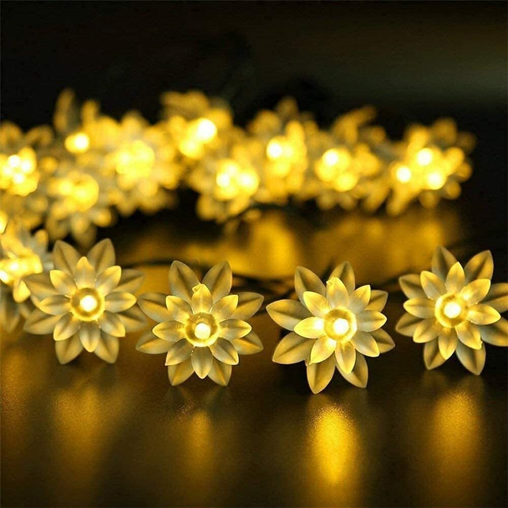 PESCA Lotus Flower String Lights for Indoor Outdoor Decoration Diwali Light for Party Birthday Diwali Christmas Navratri Valentine Gift Home Decoration Light (4 Meter 25 LED, Warm White)