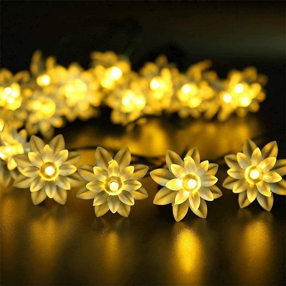 PESCA Lotus Flower String Lights for Indoor Outdoor Decoration Diwali Light for Party Birthday Diwali Christmas Navratri Valentine Gift Home Decoration Light (3 Meter 14 LED, Warm White)