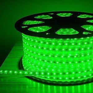 Errol LED Strip Rope Light for Indoor,Outdoor,Decorative,Diwali,Christmas,Festival,Cove,False Ceiling,Balcony,Entrance,Pillar with Direct Plug-in Adapter.(15 Meter, Green)