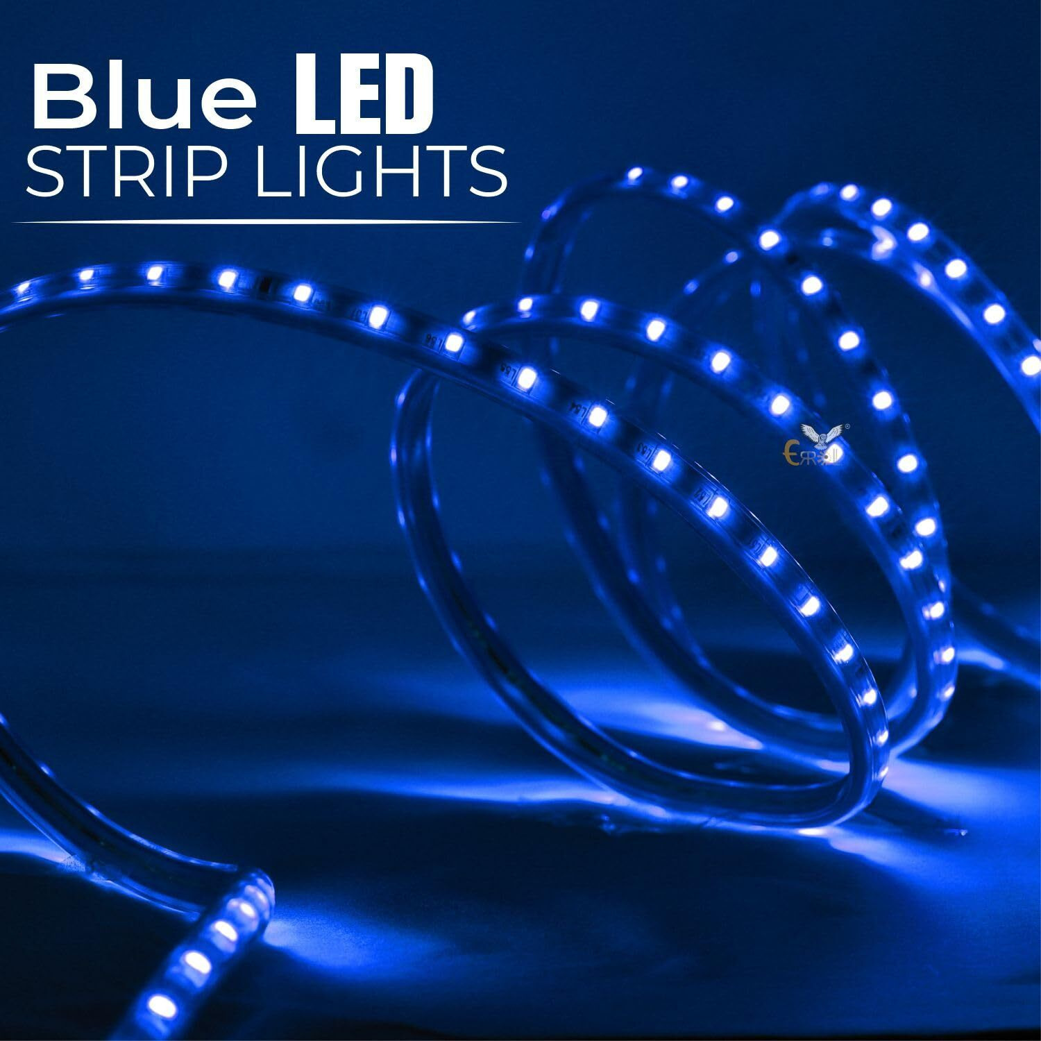 Errol LED Strip Rope Light for Indoor,Outdoor,Decorative,Diwali,Christmas,Festival,Cove,False Ceiling,Balcony,Entrance,Pillar with Direct Plug-in Adapter.(40 Meter, Blue)