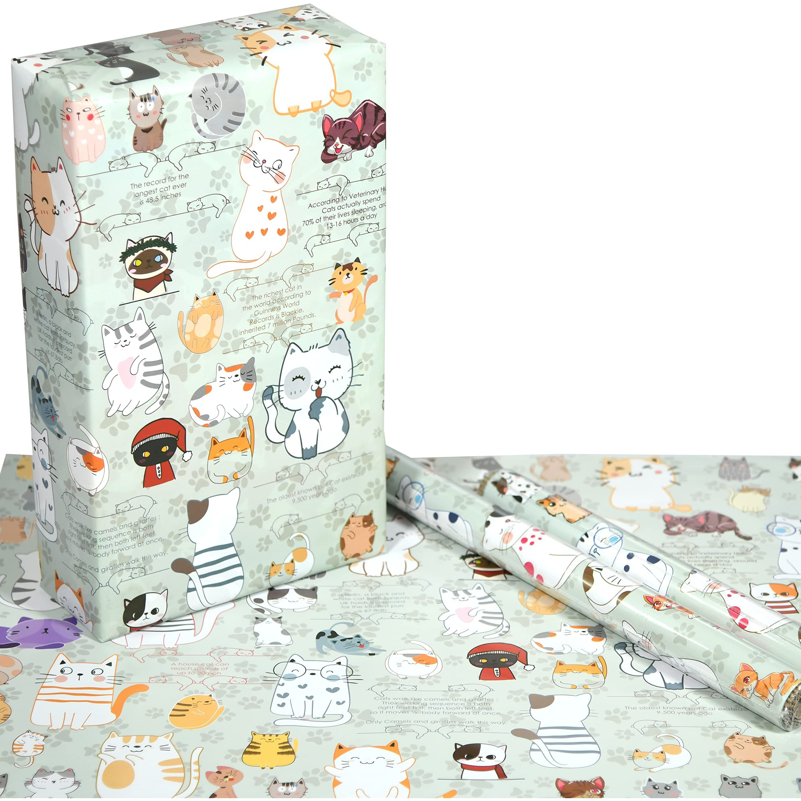 eVincE Gift Wrapping Paper Kids Birthday | Cat pattern & facts Diwali Rakshabandhan Christmas all occasion | set of 5 recyclable paper to wrap gifts