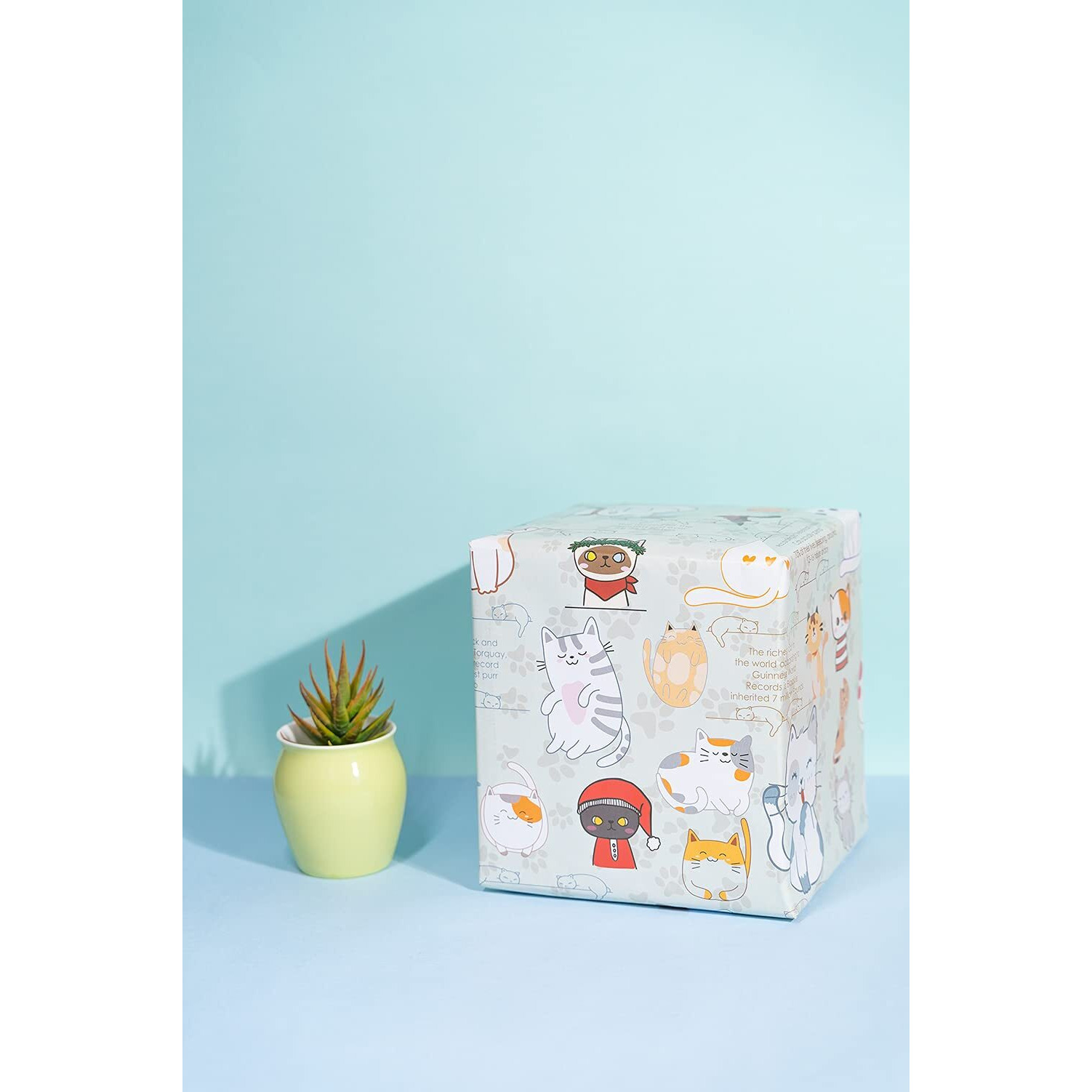 eVincE Gift Wrapping Paper Kids Birthday | Cat pattern & facts Diwali Rakshabandhan Christmas all occasion | set of 5 recyclable paper to wrap gifts