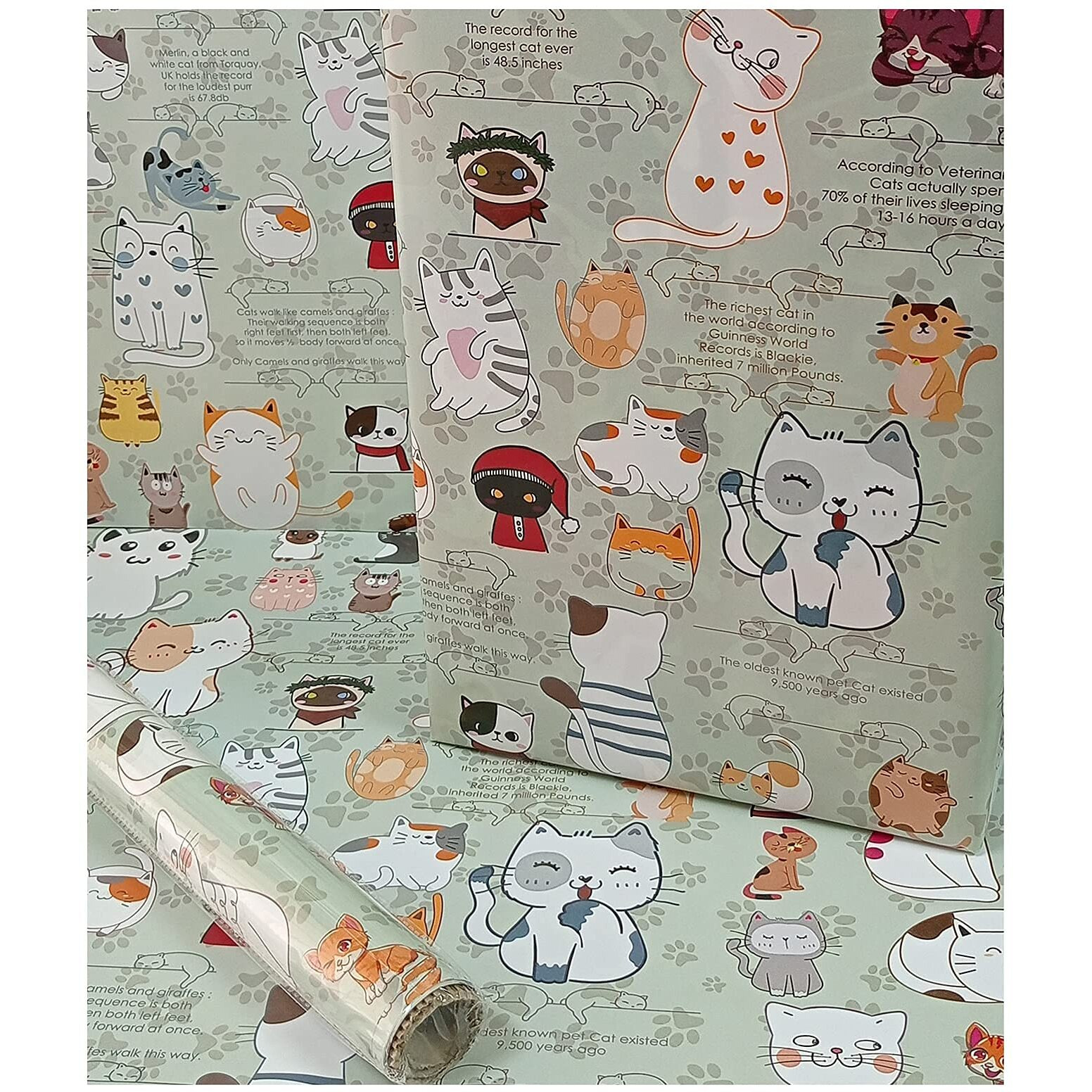 eVincE Gift Wrapping Paper Kids Birthday | Cat pattern & facts Diwali Rakshabandhan Christmas all occasion | set of 5 recyclable paper to wrap gifts
