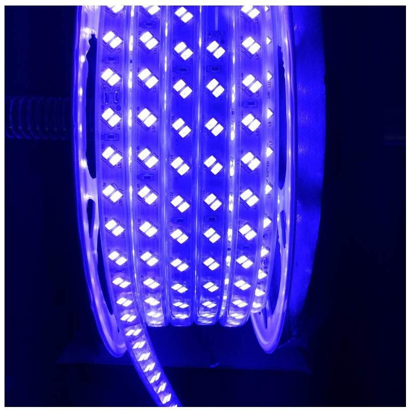 Mufasa Dual Row LED Rope Light Indoor Outdoor Strip Home Decoration Lights, Diwali Festival Lights False Ceiling, Balcony 220V AC (Non Adhesive Back) (Blue, 2 Meter)