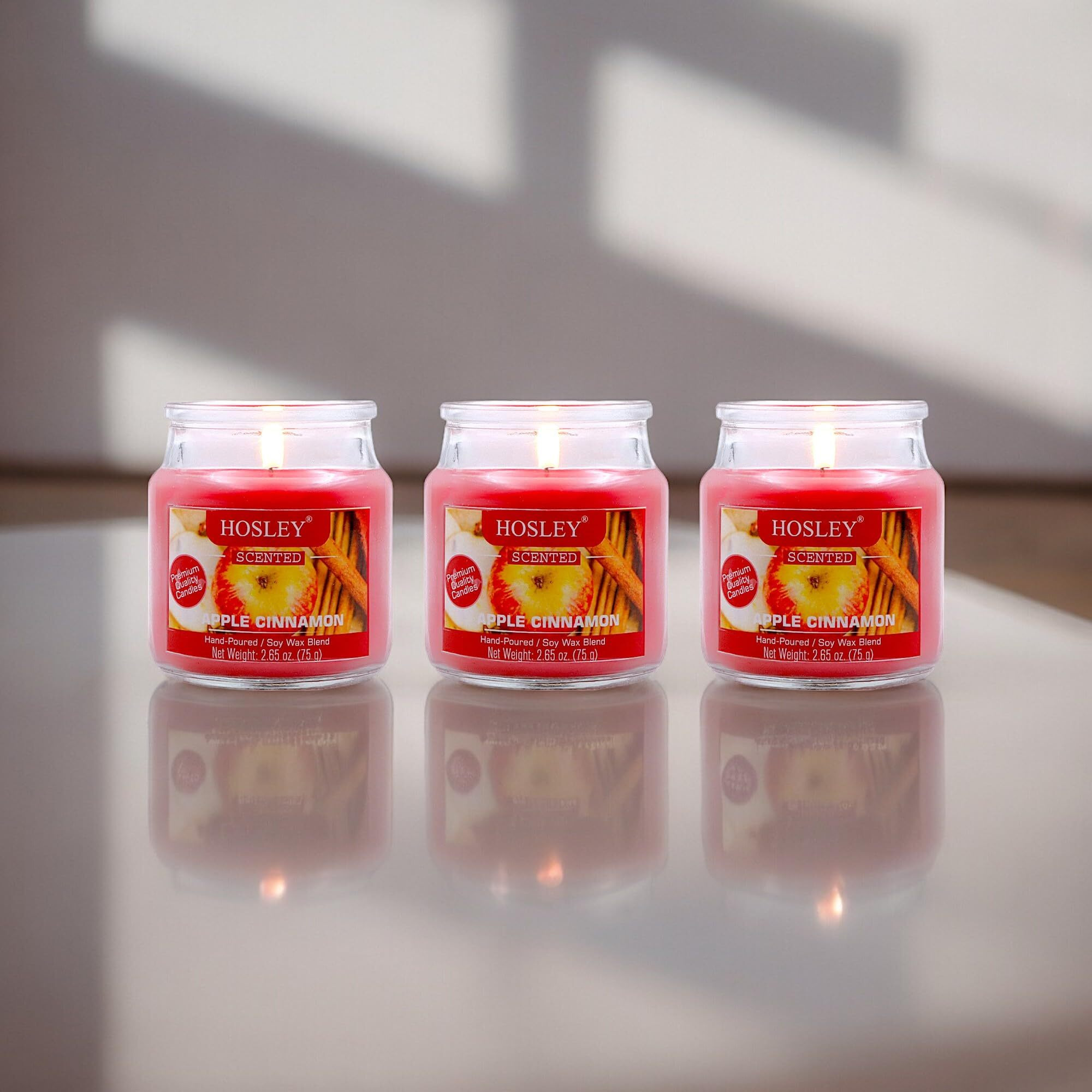 HOSLEY Apple Cinnamon Fragrance Jar Candle Pack of 3 (2.65 Oz Wax)|Fragrance Candles for Home|Scented Candles|Jar Candles|Burn Time 15 Hours|Fragrance Candle|Home Decoration (Soy Blend Wax)