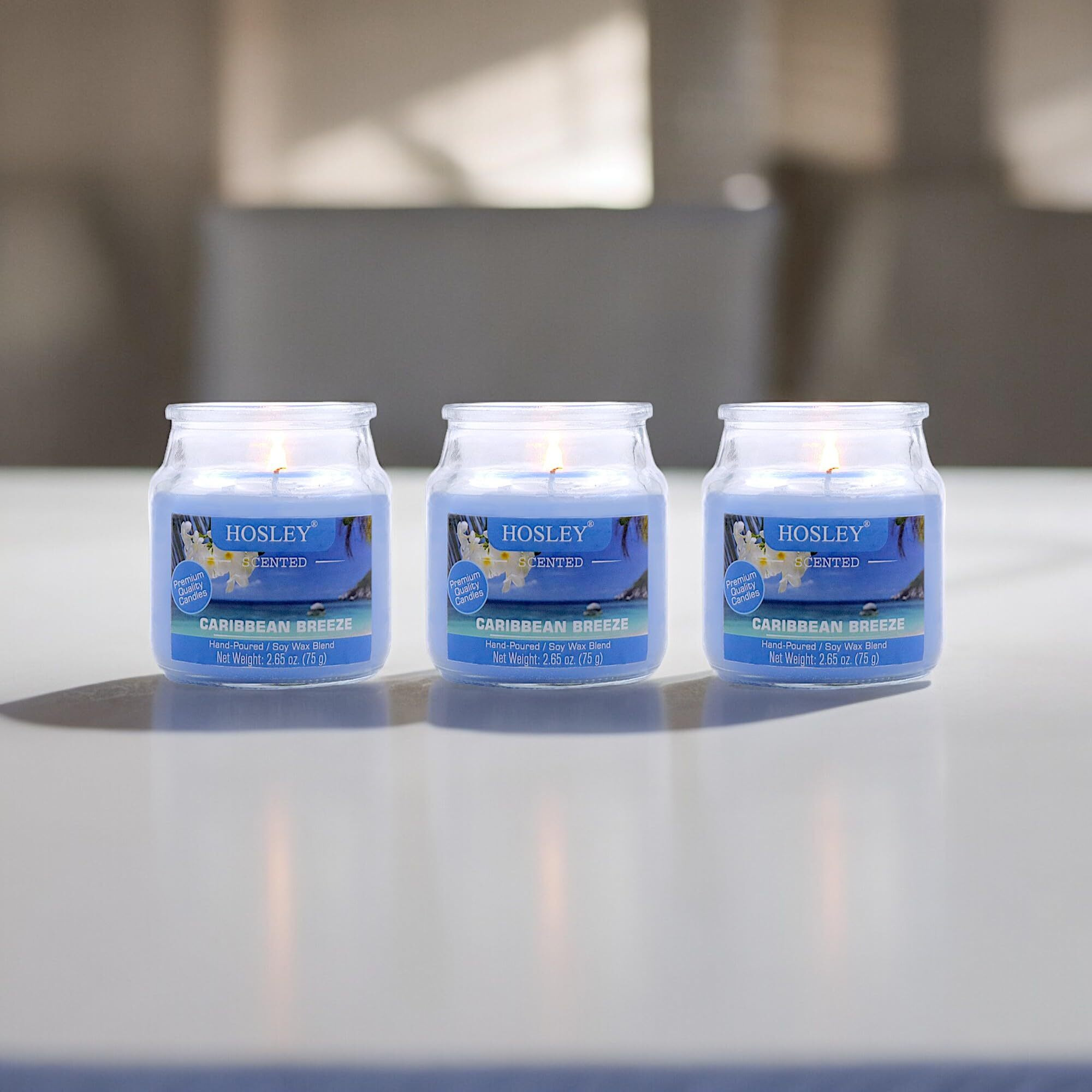HOSLEY Caribbean Breeze Fragrance Jar Candle Pack of 3 (2.65 Oz Wax)|Fragrance Candles for Home|Scented Candles|Jar Candles|Burn Time 15 Hours|Fragrance Candle|Home Decoration (Soy Blend Wax)