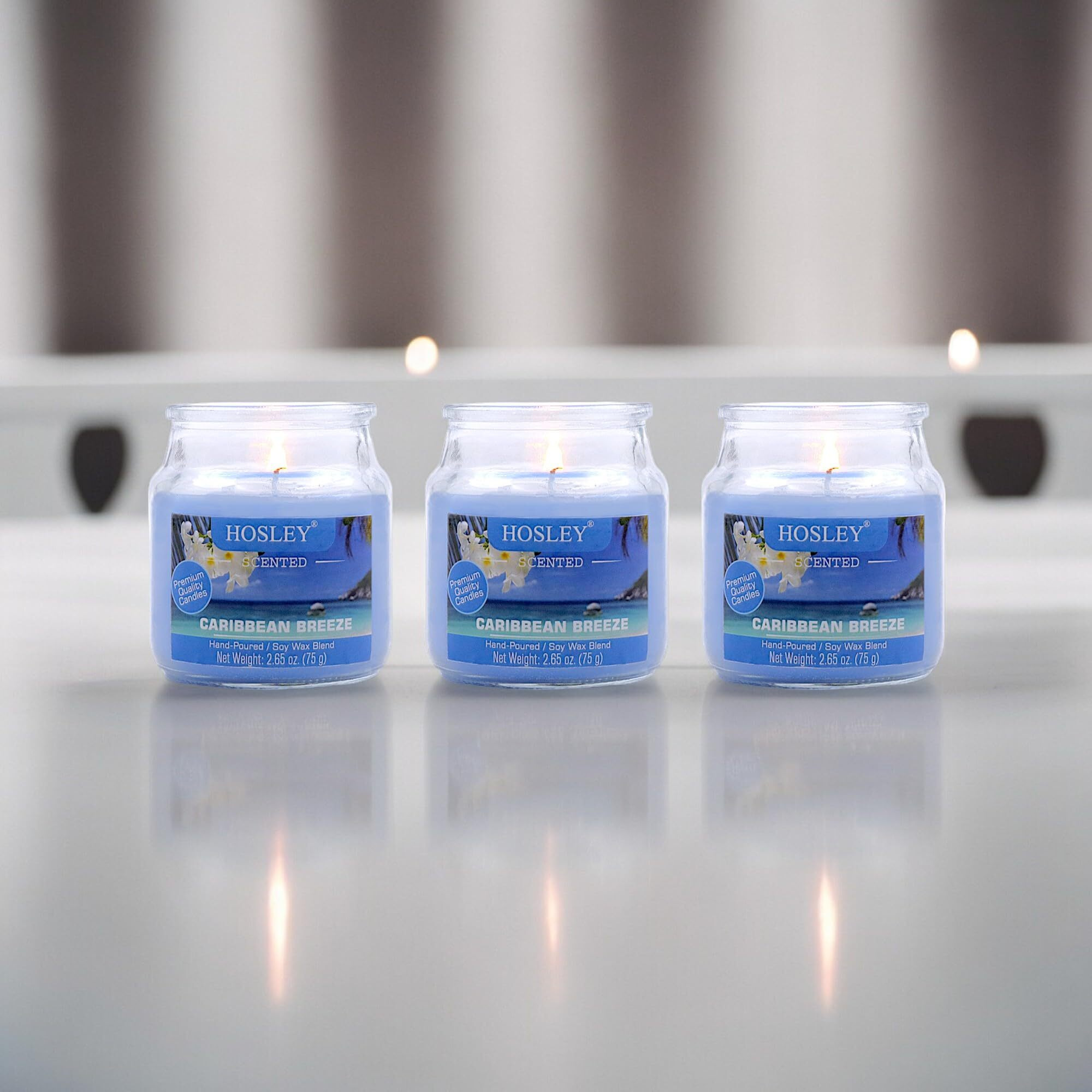 HOSLEY Caribbean Breeze Fragrance Jar Candle Pack of 3 (2.65 Oz Wax)|Fragrance Candles for Home|Scented Candles|Jar Candles|Burn Time 15 Hours|Fragrance Candle|Home Decoration (Soy Blend Wax)