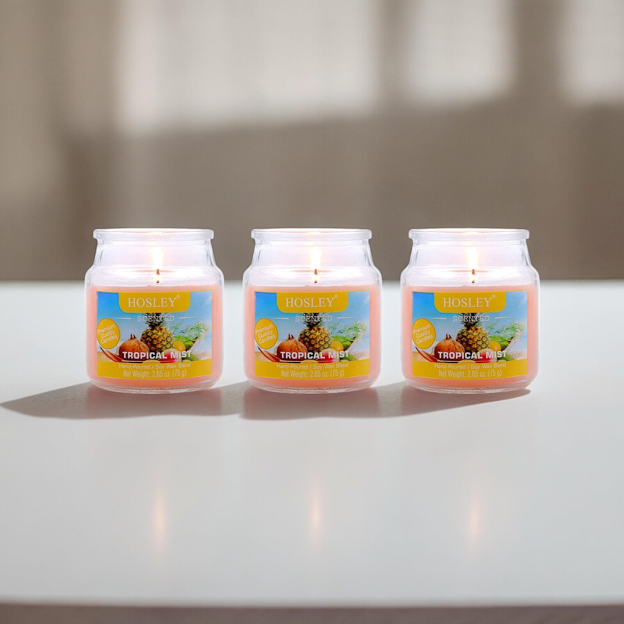HOSLEY Tropical Mist Fragrance Jar Candle Pack of 3 (2.65 Oz Wax)|Fragrance Candles for Home|Scented Candles|Jar Candles|Burn Time 15 Hours|Fragrance Candle|Gift Set|Home Decoration (Soy Blend Wax)
