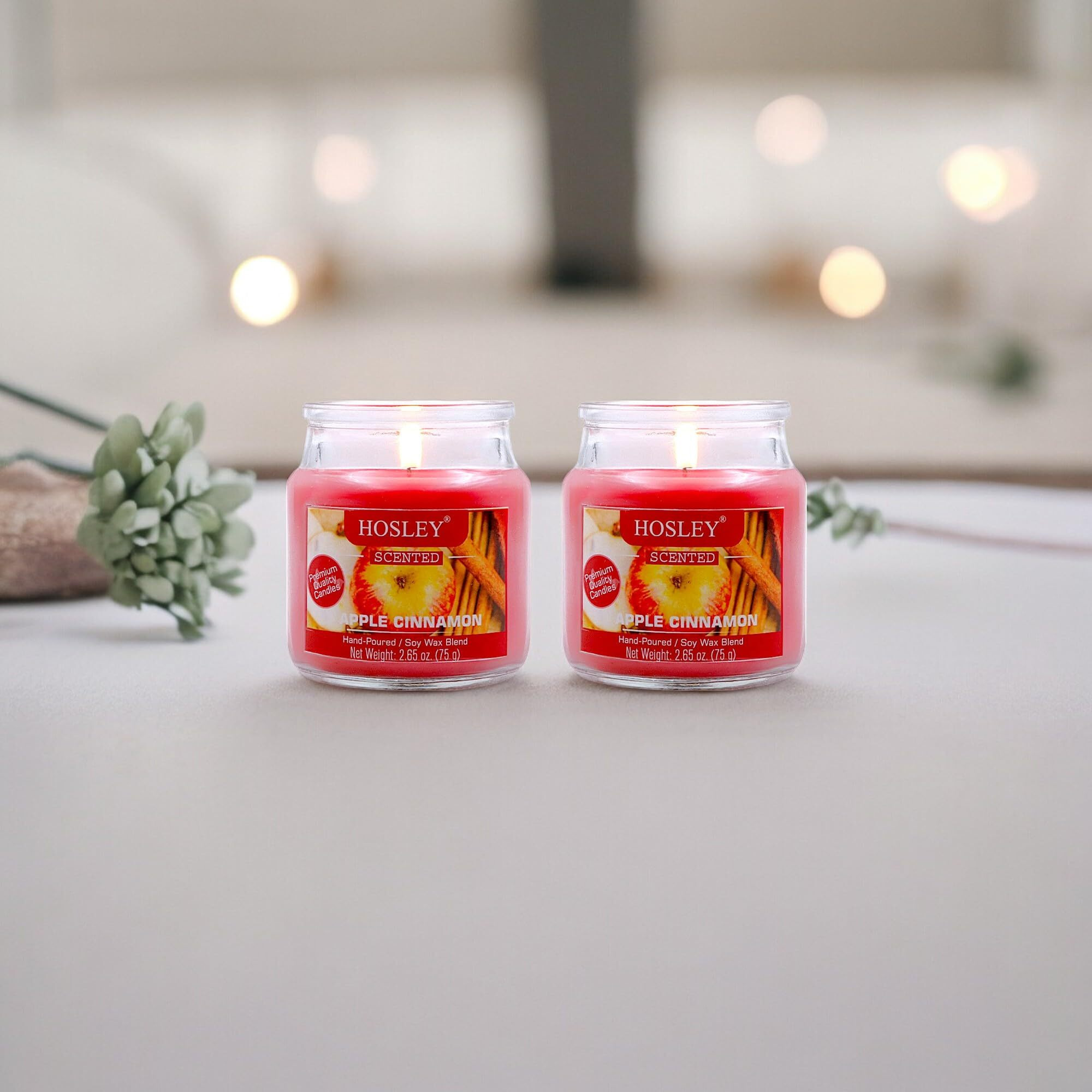 HOSLEY Apple Cinnamon Fragrance Jar Candle Pack of 2 (2.65 Oz Wax)|Fragrance Candles for Home|Scented Candles|Jar Candles|Burn Time 15 Hours|Fragrance Candle|Home Decoration (Soy Blend Wax)