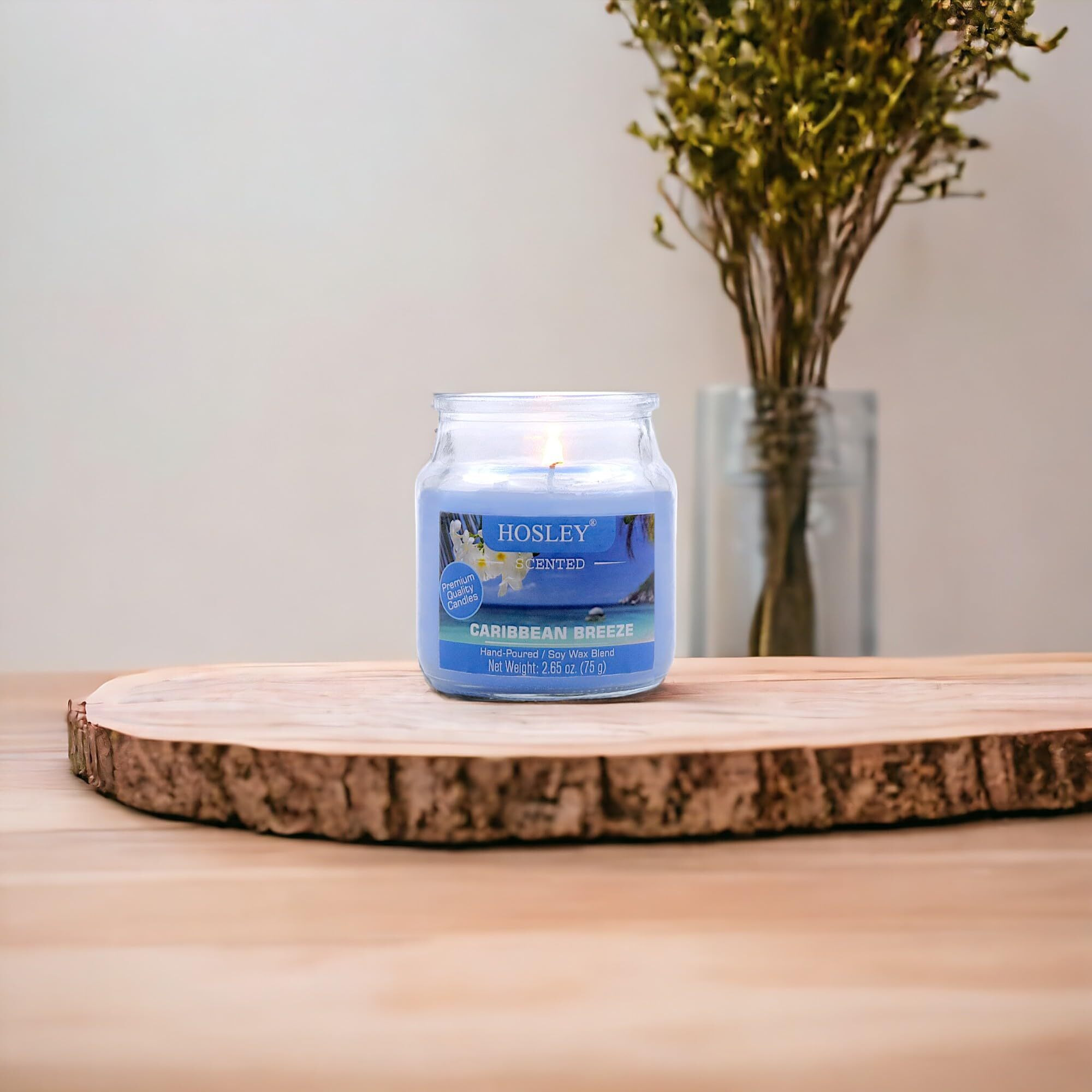 HOSLEY Caribbean Breeze Fragrance Jar Candle Pack of 1 (2.65 Oz Wax)|Fragrance Candles for Home|Scented Candles|Jar Candles|Burn Time 15 Hours|Gift Set|Home Decoration (Soy Blend Wax)