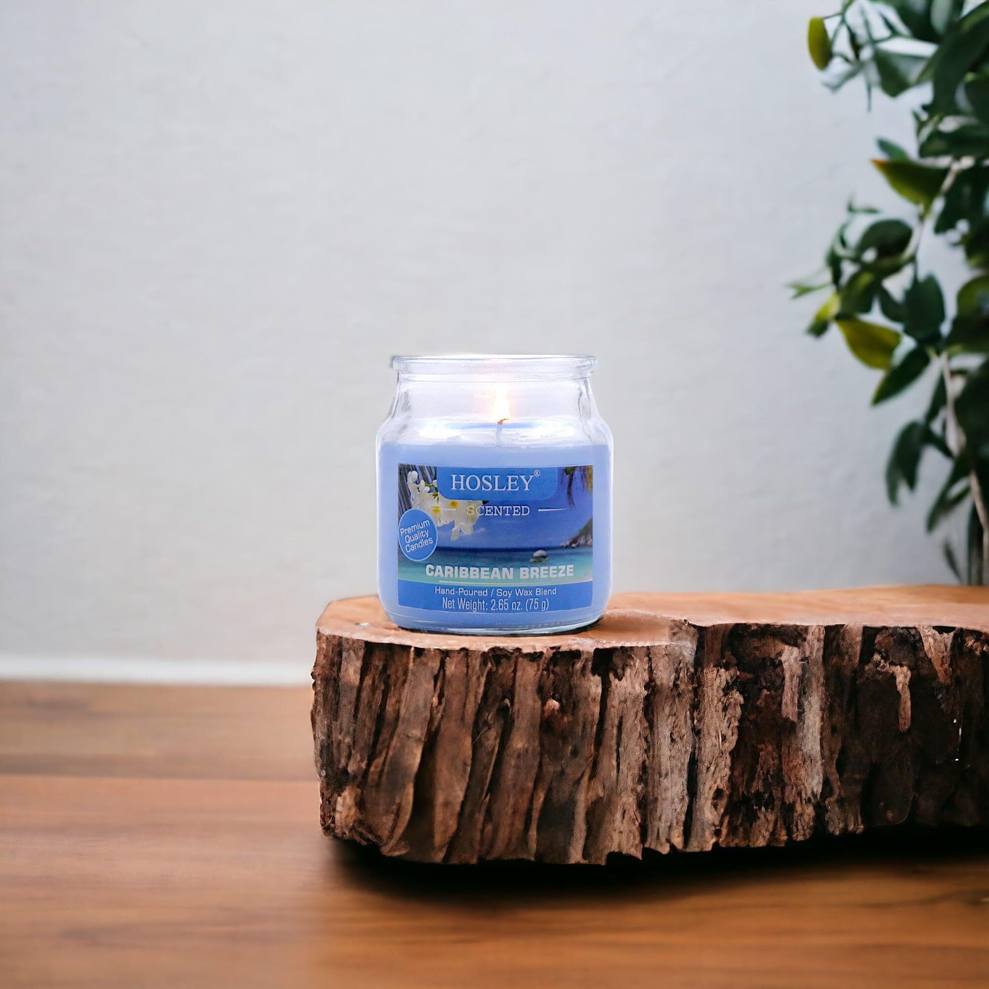 HOSLEY Caribbean Breeze Fragrance Jar Candle Pack of 1 (2.65 Oz Wax)|Fragrance Candles for Home|Scented Candles|Jar Candles|Burn Time 15 Hours|Gift Set|Home Decoration (Soy Blend Wax)