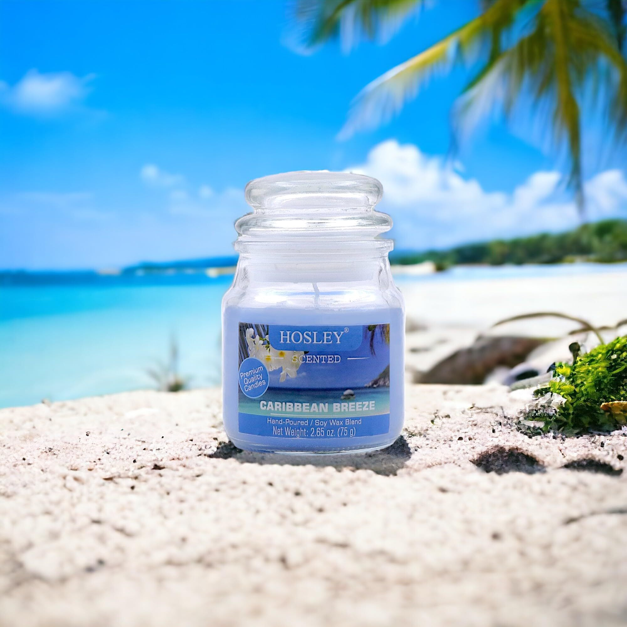 HOSLEY Caribbean Breeze Fragrance Jar Candle Pack of 1 (2.65 Oz Wax)|Fragrance Candles for Home|Scented Candles|Jar Candles|Burn Time 15 Hours|Gift Set|Home Decoration (Soy Blend Wax)