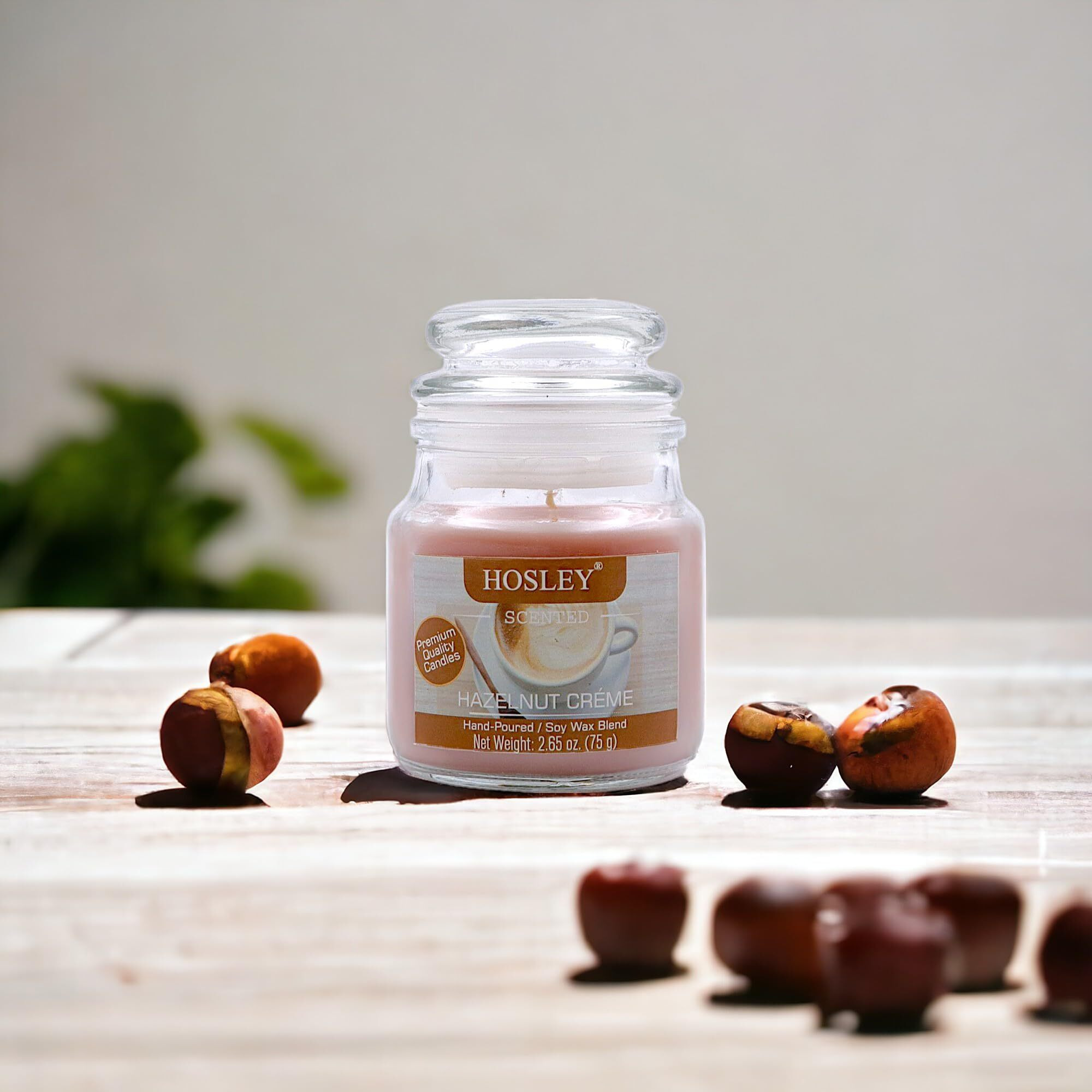 HOSLEY Hazelnut Creme Fragrance Jar Candle Pack of 1 (2.65 Oz Wax)|Fragrance Candles for Home|Scented Candles|Jar Candles|Burn Time 15 Hours|Gift Set|Home Decoration (Soy Blend Wax)