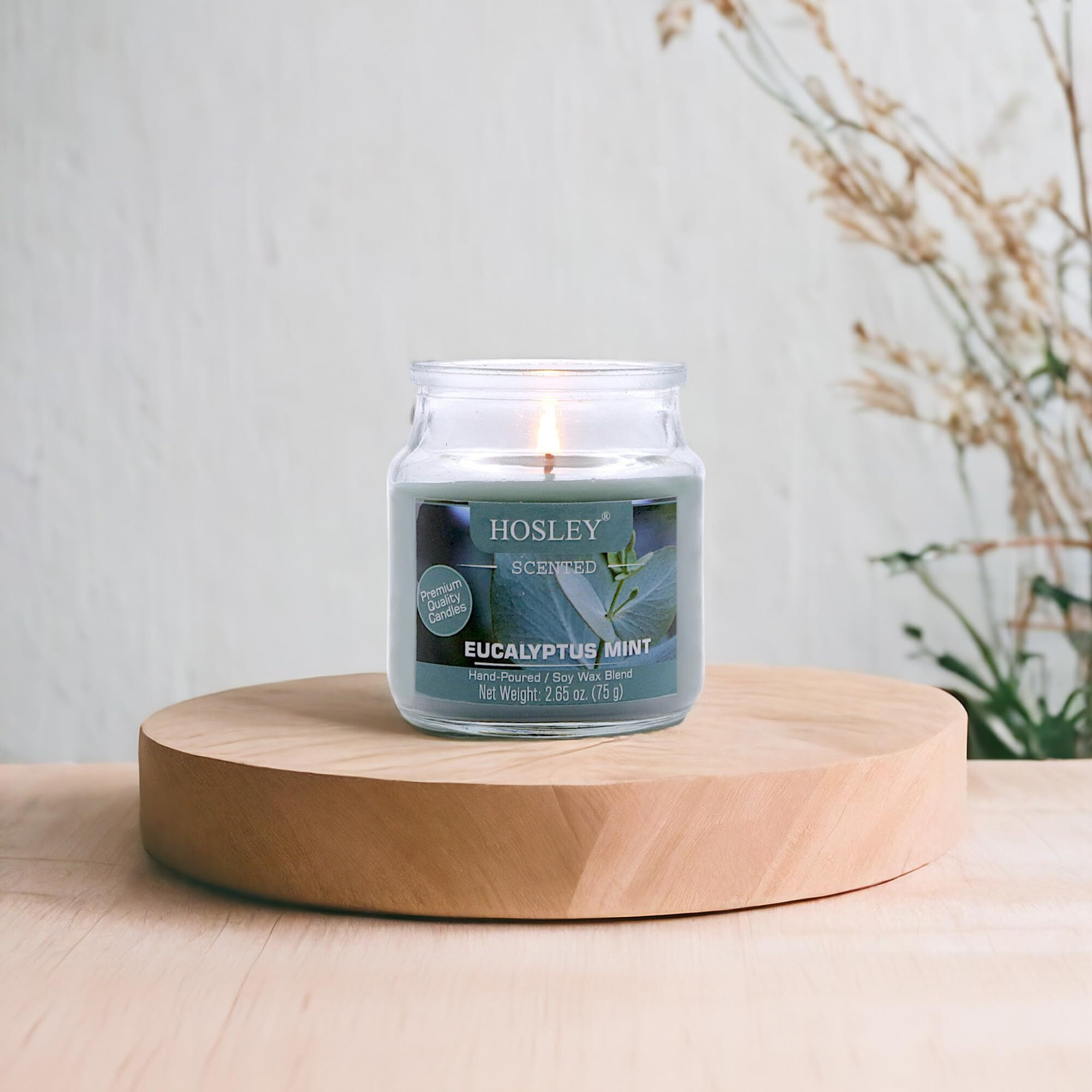 HOSLEY Eucalyptus Mint Fragrance Jar Candle Pack of 1 (2.65 Oz Wax)|Fragrance Candles for Home|Scented Candles|Jar Candles|Burn Time 15 Hours|Fragrance Candle|Gift Set|Home Decoration (Soy Blend Wax)