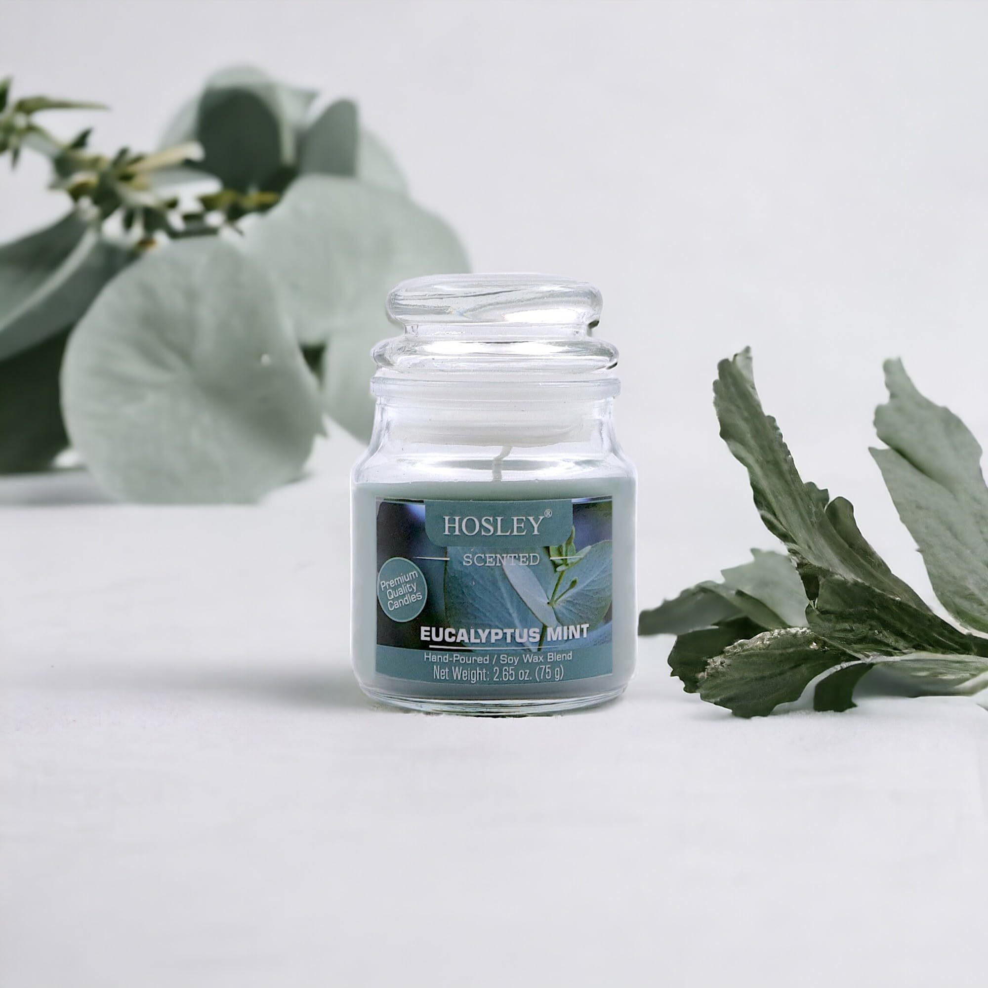 HOSLEY Eucalyptus Mint Fragrance Jar Candle Pack of 1 (2.65 Oz Wax)|Fragrance Candles for Home|Scented Candles|Jar Candles|Burn Time 15 Hours|Fragrance Candle|Gift Set|Home Decoration (Soy Blend Wax)