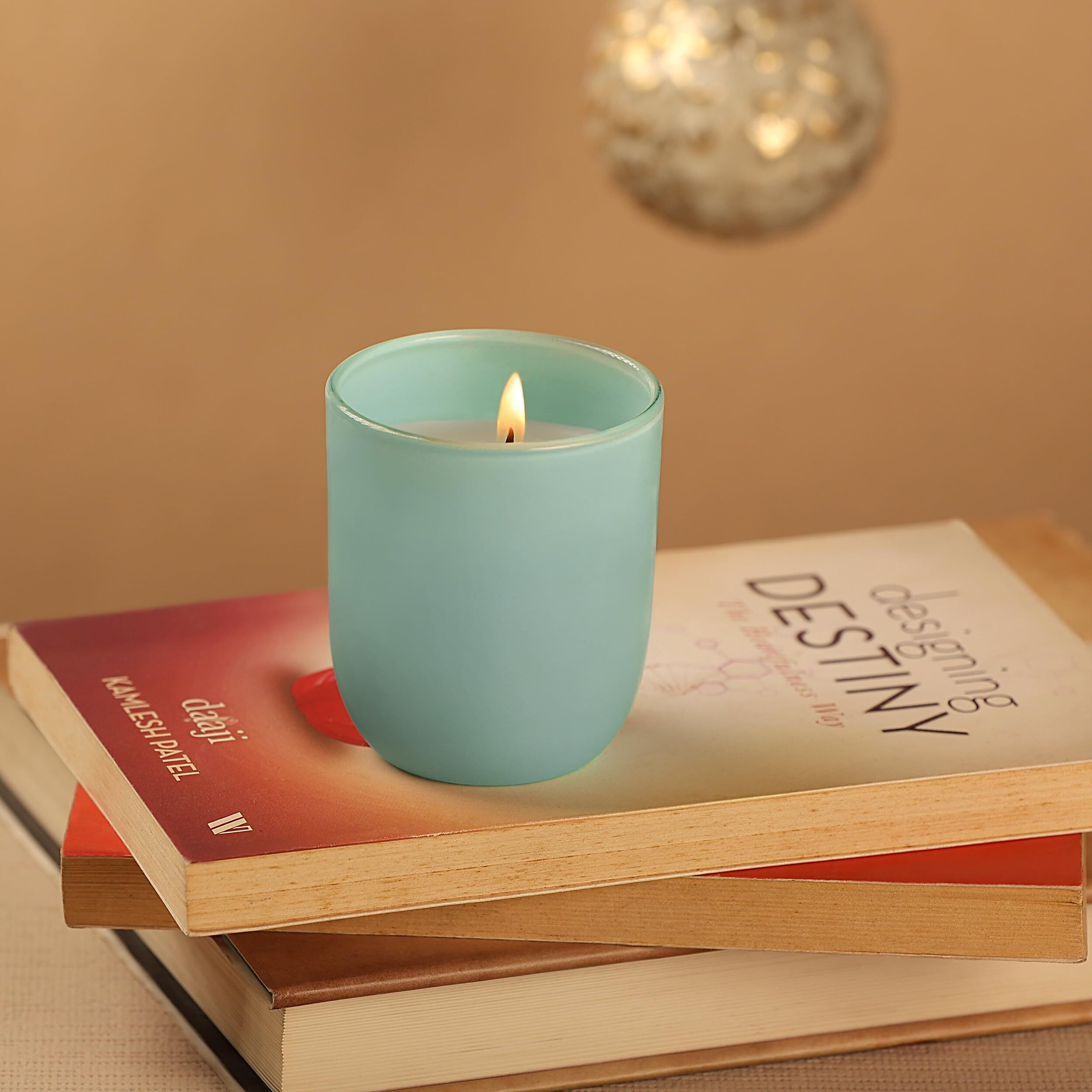 Parkash Candles Premium Scented Glass Candle (Blueberry)