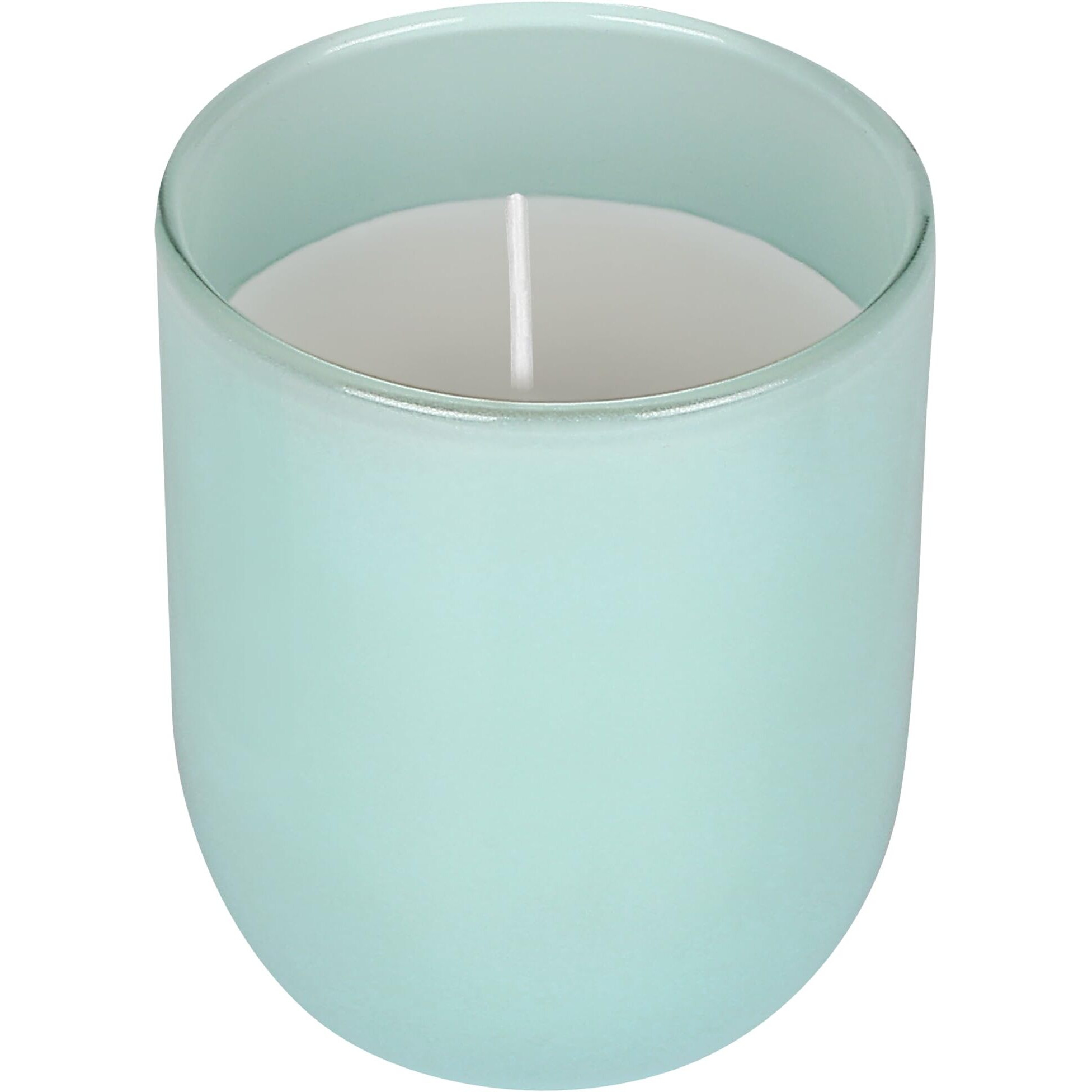 Parkash Candles Premium Scented Glass Candle (Blueberry)