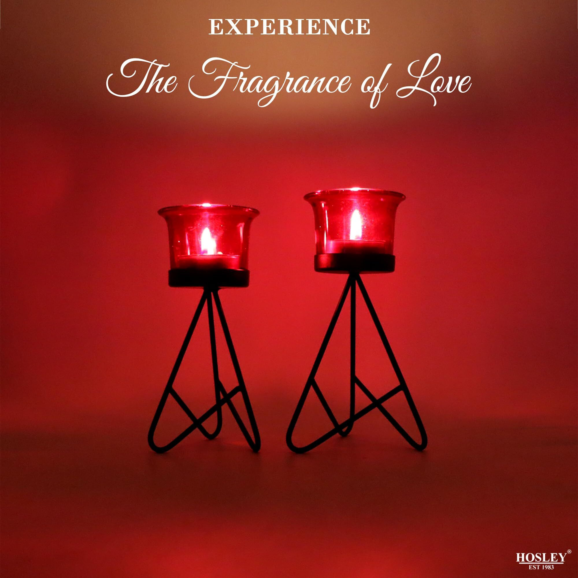 HOSLEY Metal Red Glass Tealight Candle Holder|Tealight Candle Holder with Glass Holder Perfect for Home Decor Tabletop| 2-Cup Centrepiece |Pack of 2 with Pack of 2 Tealights (Black)