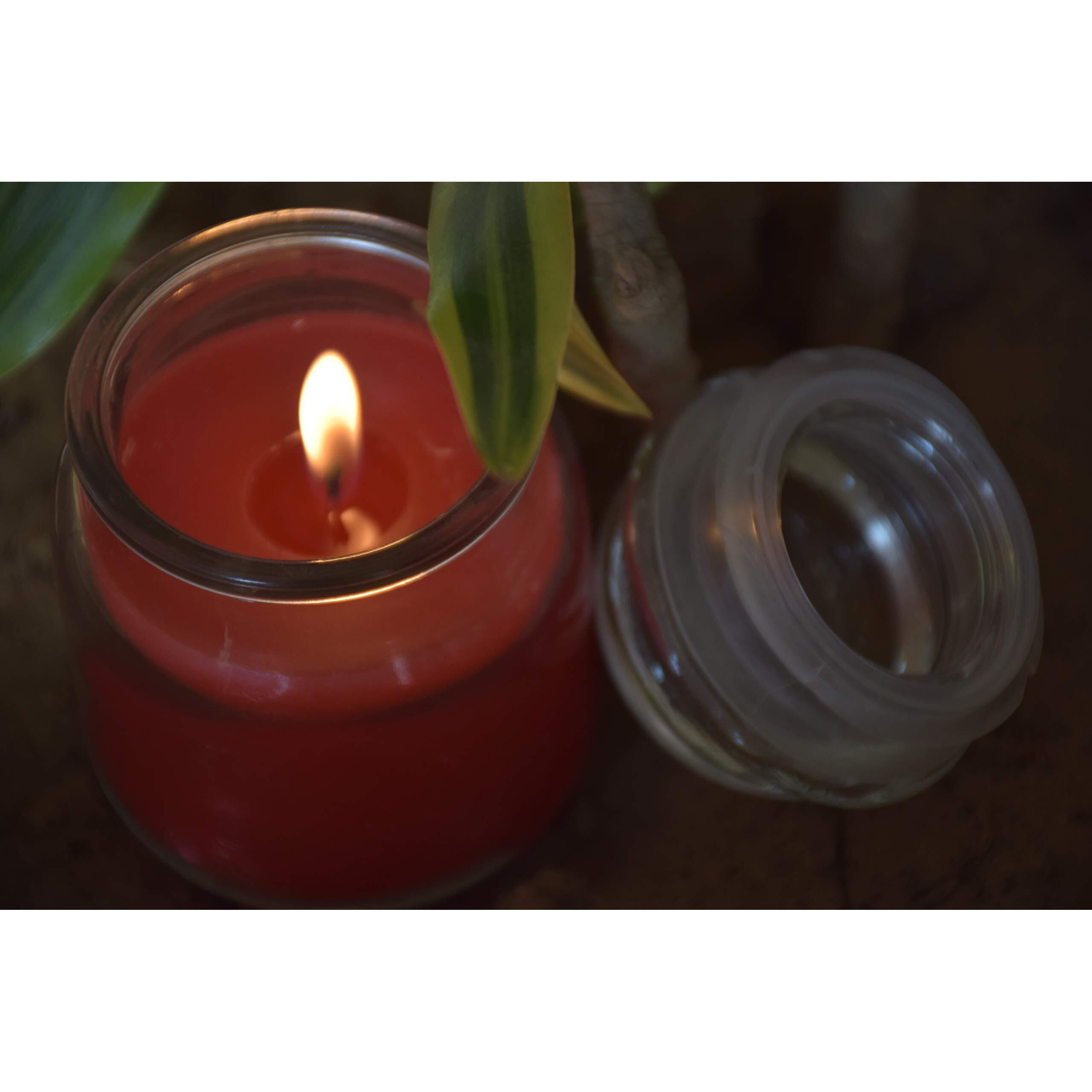 Pure Source India Wax Jar Candle, Pack of 3, LavenderLemon GrassRose, Multi Color, 6 x 8.9 cm