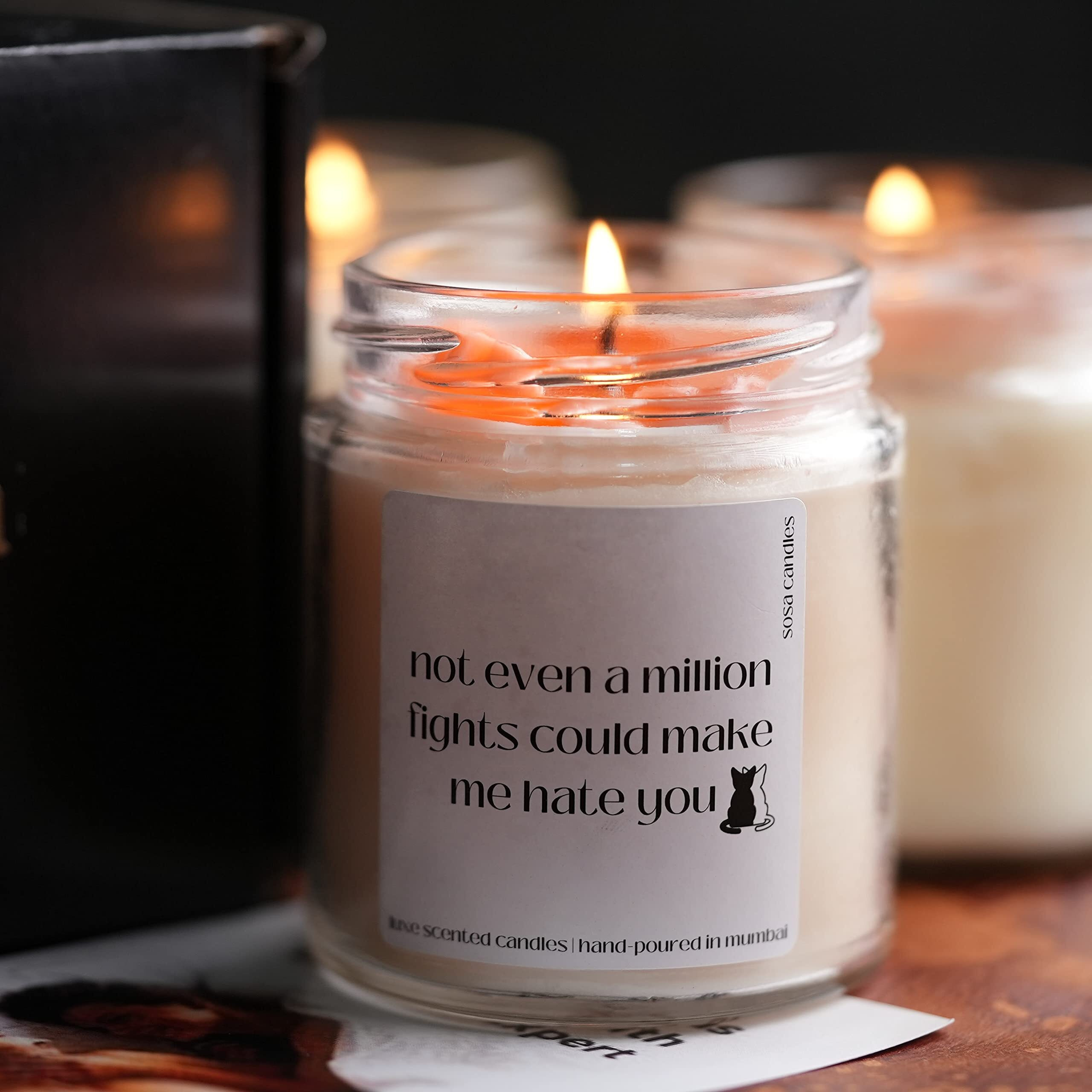 Not even a million fights could make me hate you - Highly Scented Candles Gift Set | Girlfriend Gifts | Boyfriend Gifts | Husband Gifts | Wife Gifts | Candles For Home Decor | Candle Gift For Girlfriend | Gift For Boyfriend,Husband,Wife | Scented Candles For Home Decor | Romantic Decoration For Bedroom