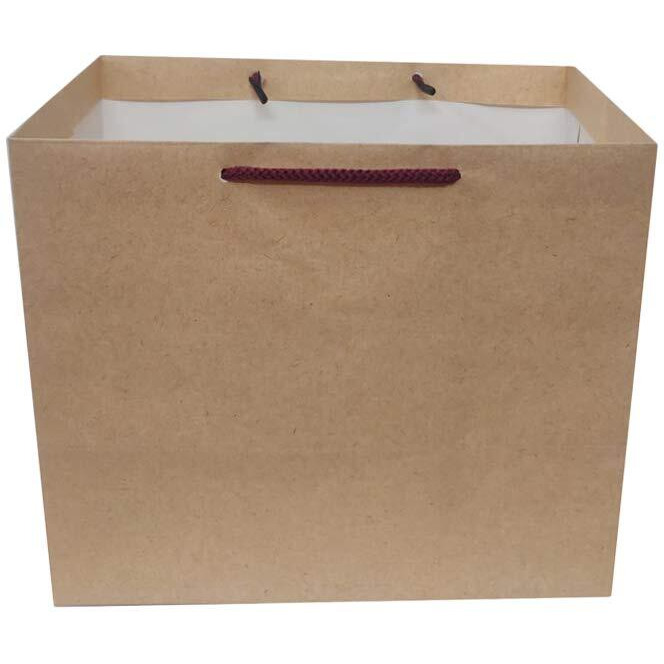 Flute Cubes Presents 4 Container Food Parcel/Mithai/Sweets - Brown Eco Friendly Gift Paper Bag, (Size 10 x 8.5 x 6.25 - inch) Pack of 10