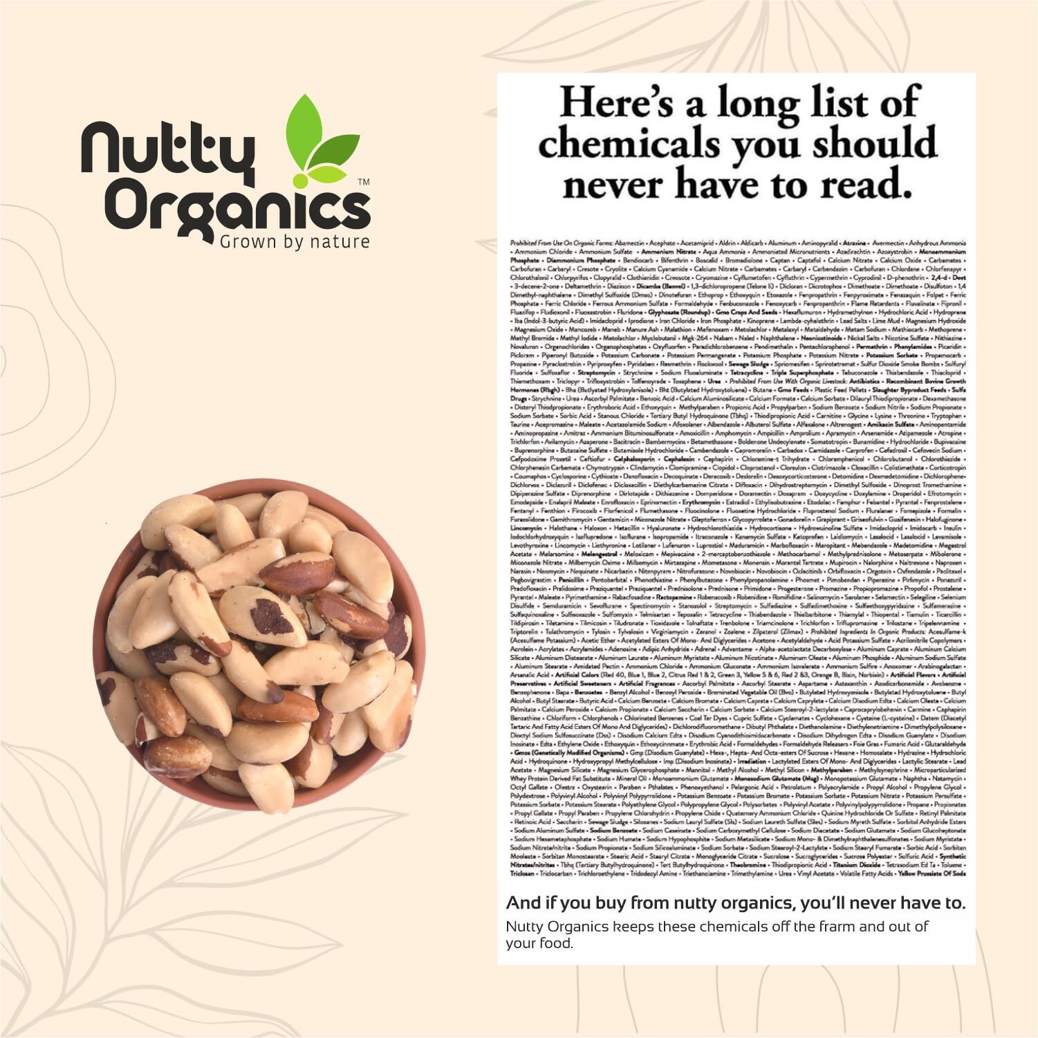 NUTTY ORGANICS Nutty Oraganics Brazil Nuts - 1 Kg (Grade A ++ Nuts, Premium Jumbo Size, Imported) - Richest Natural Source Of Selenium (500 Gm*2)