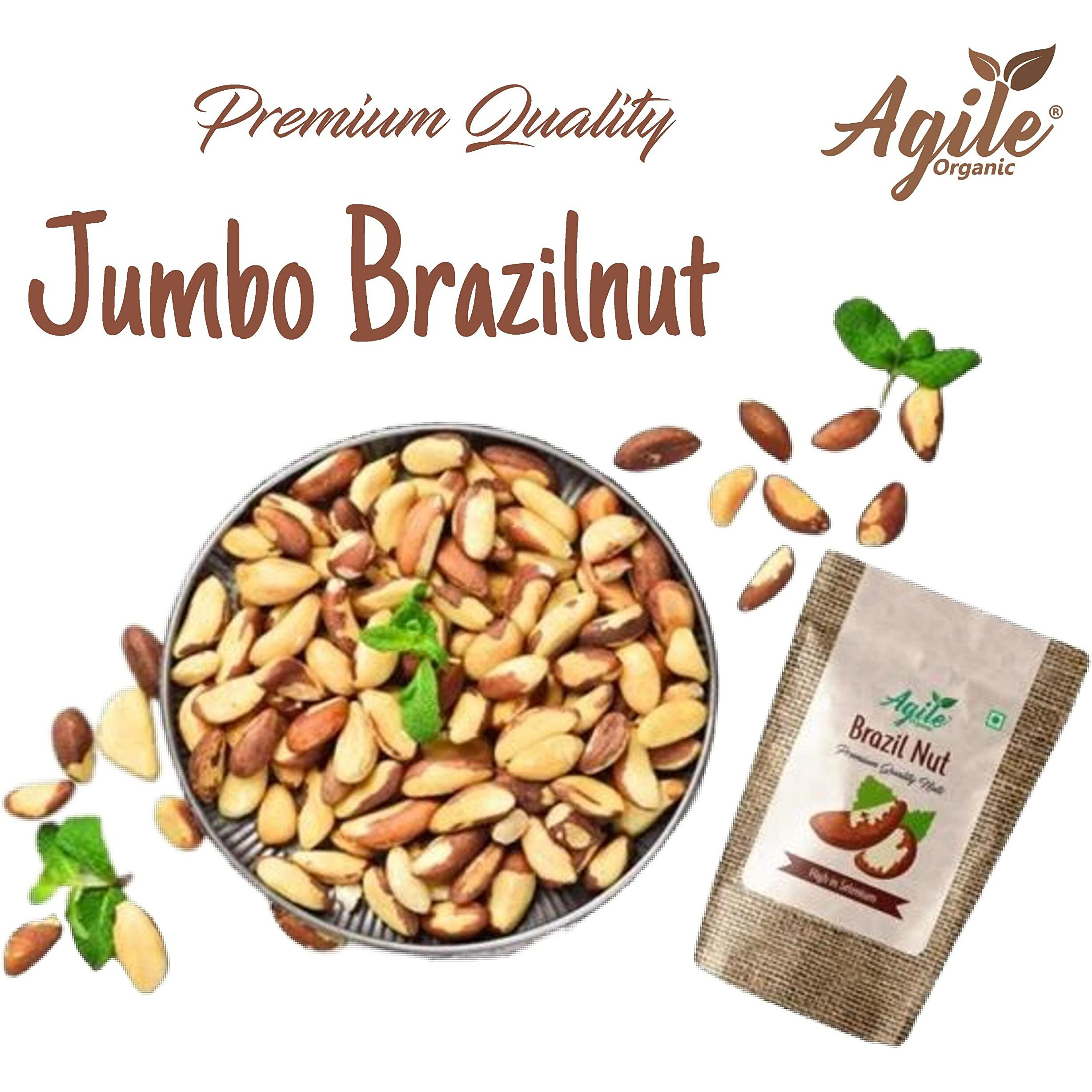 Agile Organic Jumbo Brazil Nuts 100g | Whole, Raw and Unsalted | Immunity Boosting | Rich in Selenium and Magnesium | Brazil Nut 100 gram (Grade A ++ Nuts, Premium Jumbo Size, Imported)