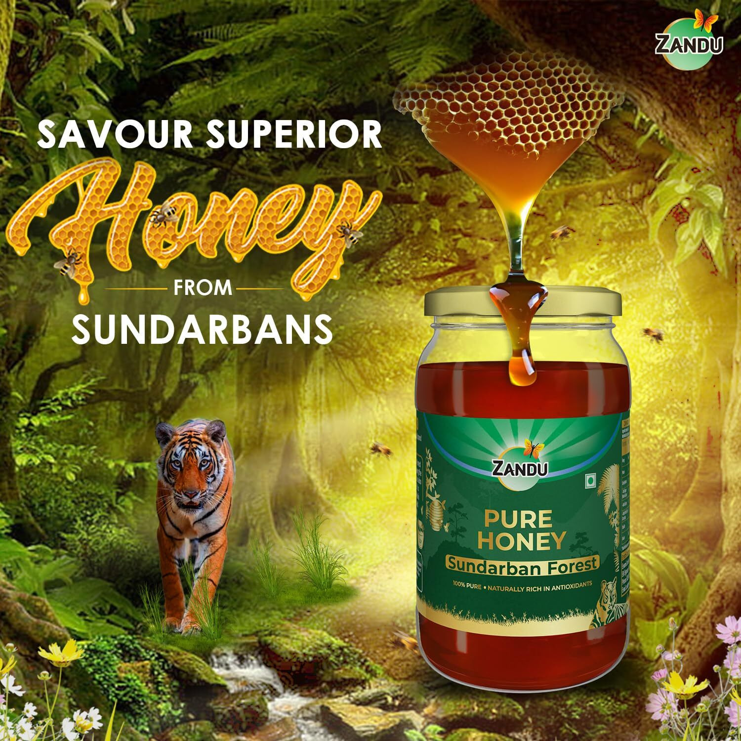 Zandu Pure Honey Sundarban Forest, Natural Honey from the Largest Mangrove Forest, Multi Flora & Medicinal Properties, Comes without Added Sugar & Preservatives, 100% Natural, Glass Jar, 500g