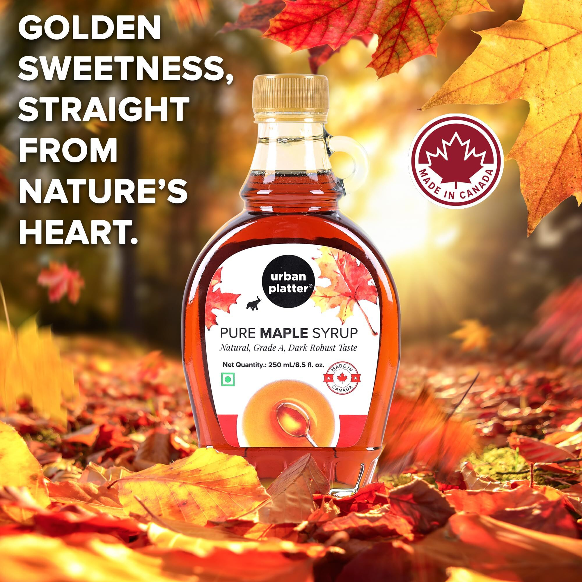 Urban Platter Pure Maple Syrup, 250ml [Product of Canada, Grade A, Robust Taste]