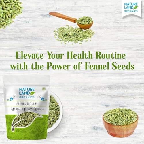 Natureland Organics Fennel (Saunf) 100 gm - Organic Saunf