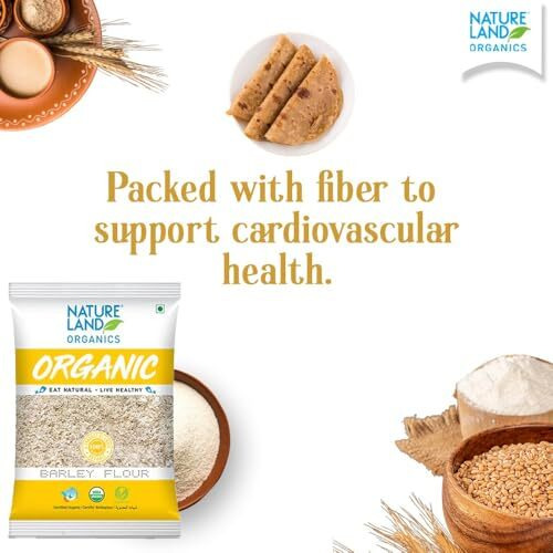 Natureland Organic Barley Flour/Jau Flour 500 Gm - Healthy Organic Flour