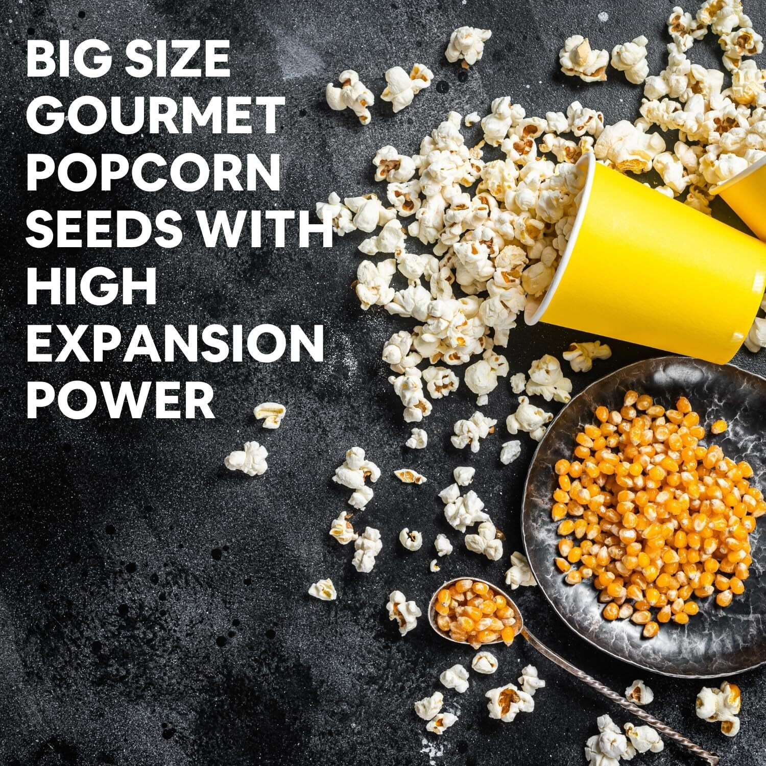 515PM Popcorn Kernel Seeds Big Size Gourmet Pop Corn Kernels Imported from USA | High Expansion, A Grade Makkai Popcorn  400g