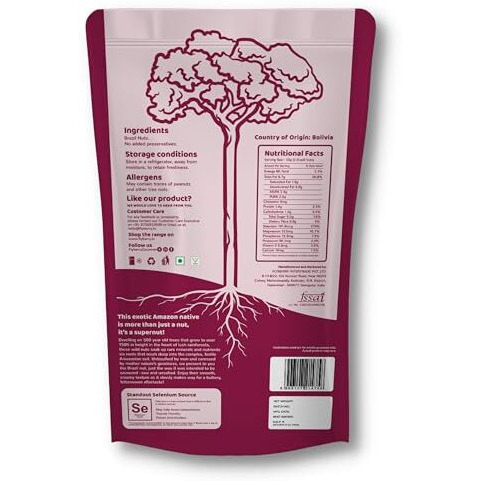 Flyberry Gourmet Jumbo Brazil Nuts, 100g | 100% Natural | Imported from Bolivia| Rich in Iron| Best for Cholesterol
