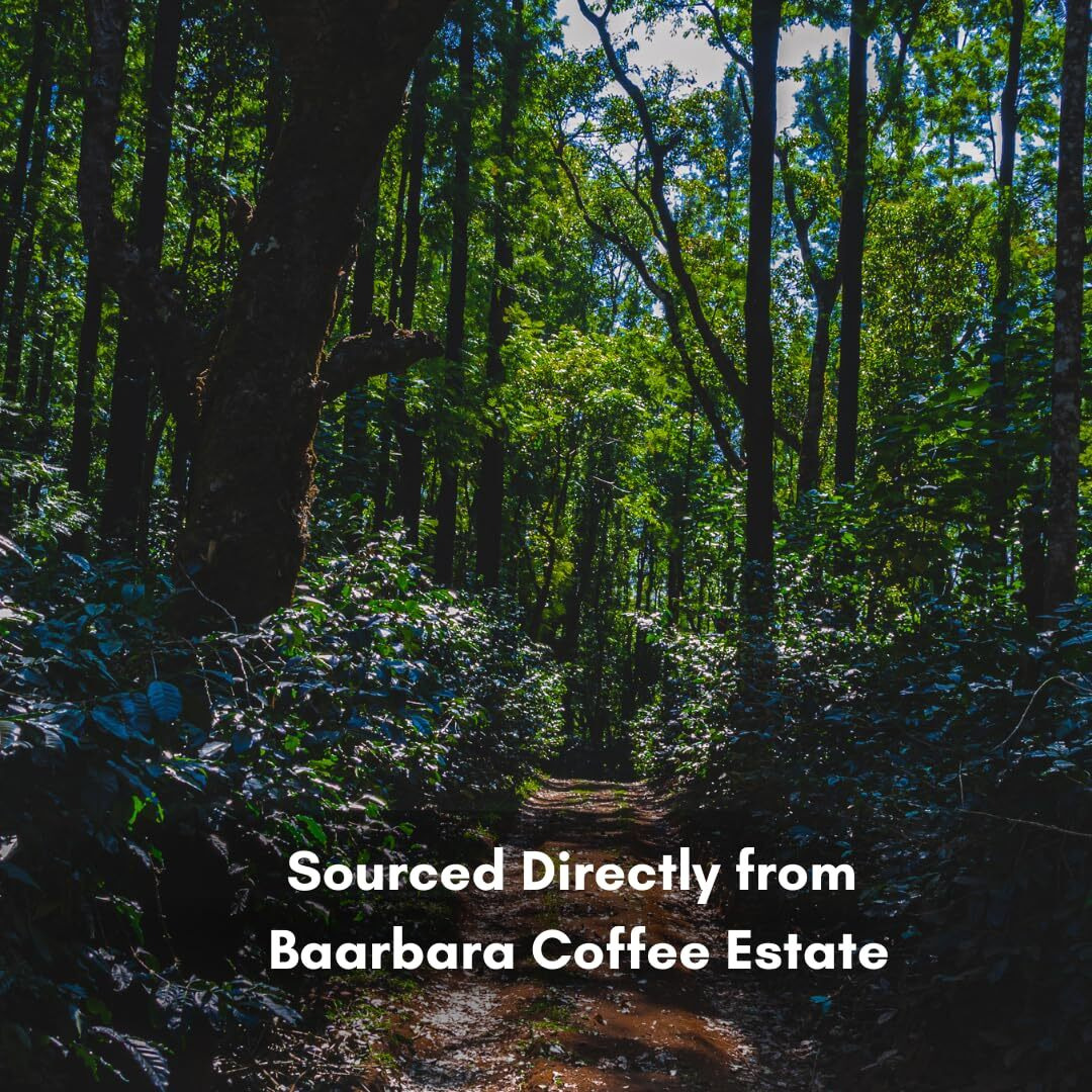 BAARBARA BERRY Coffee|Roasted Coffee Beans 80% Arabica, 20% Robusta|From Chikmagalur Farms Since 1896 |1Kg, Packet