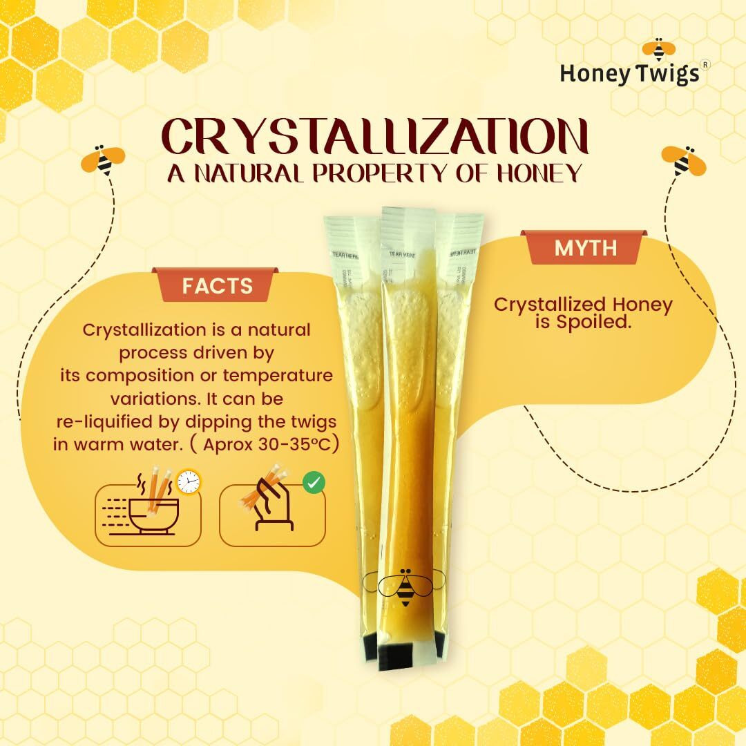 Honey Twigs Ginger Honey | 100% Pure Honey, 240gms (8g x 30 Sachets) | Perfect for a Healthy Lifestyle | Infused with Natural Ginger | Tested Honey | Traceable Honey | Ideal for Tea and Snacks