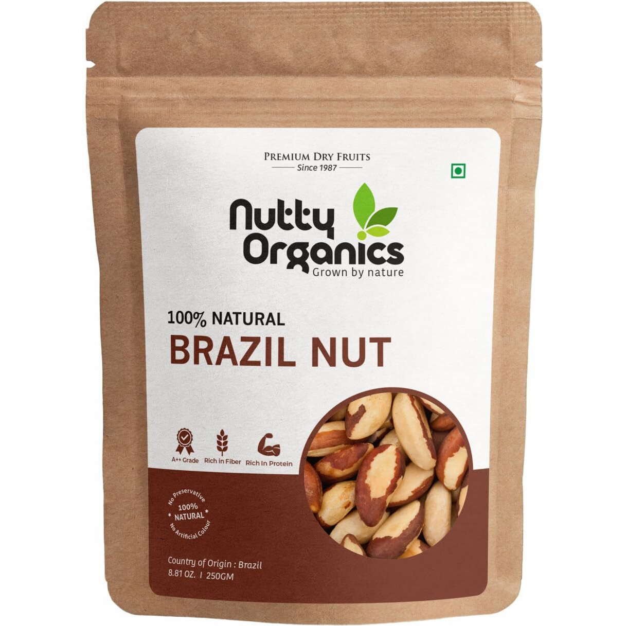 NUTTY ORGANICS Brazil Nuts - 250G (Grade A ++ Nuts, Premium Jumbo Size, Imported) - Richest Natural Source Of Selenium