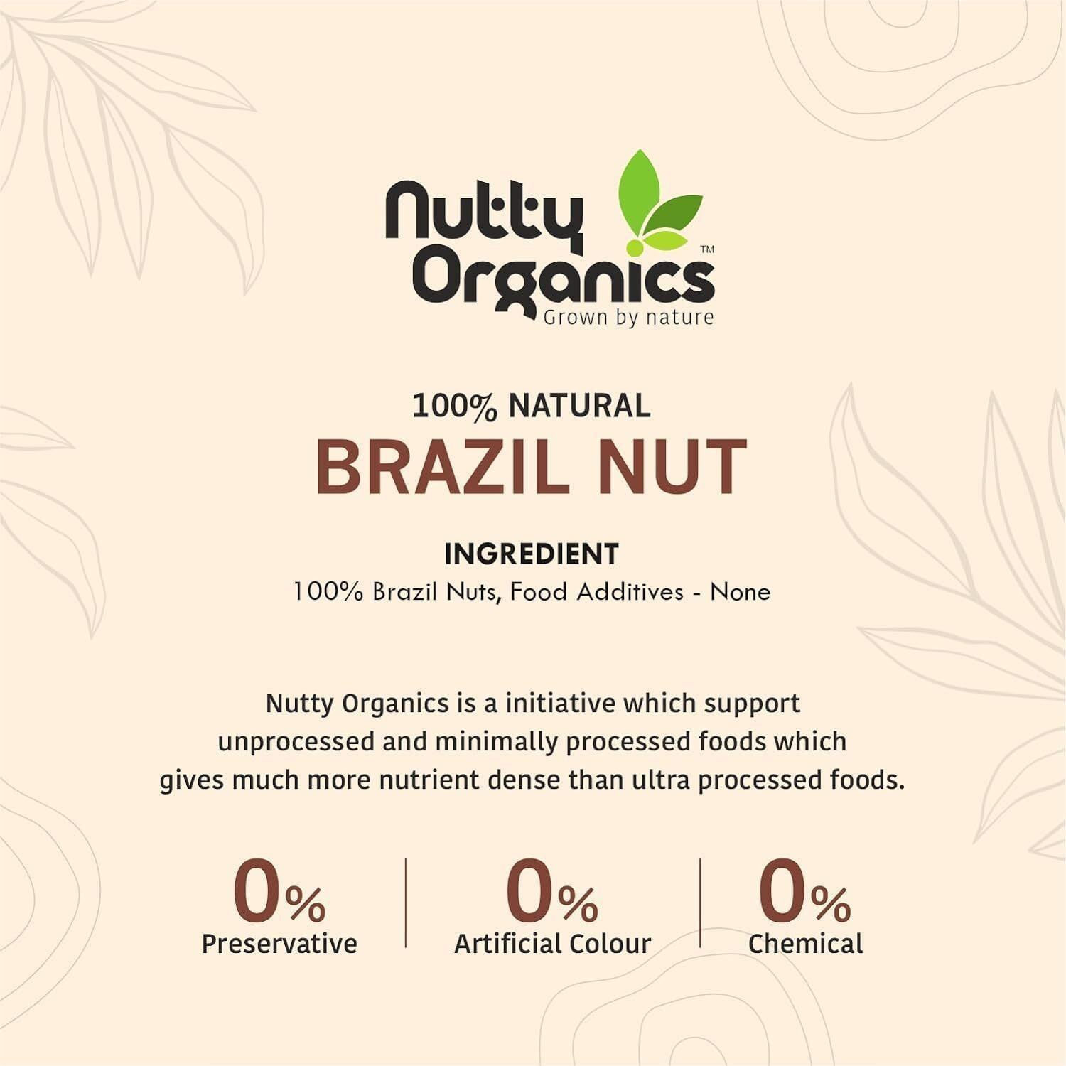 NUTTY ORGANICS Brazil Nuts - 250G (Grade A ++ Nuts, Premium Jumbo Size, Imported) - Richest Natural Source Of Selenium