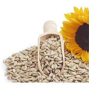 Nature Prime Sunflower Seeds (250 Gm)