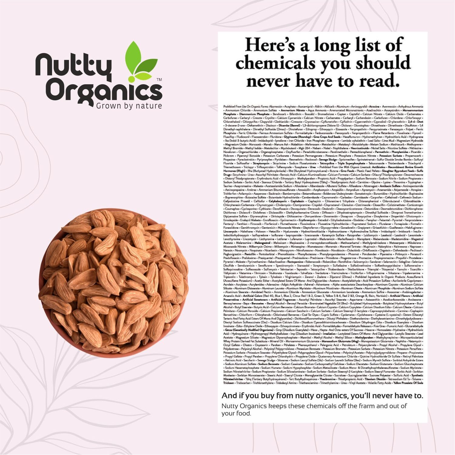 Nutty Organics Almonds Mamra - 500 GM (Grade A ++ Nuts, Premium,Rich In Oil, Imported) Richest Natural Source of Vitamins, Magnesium & Protien | Special Mamra Badam Giri