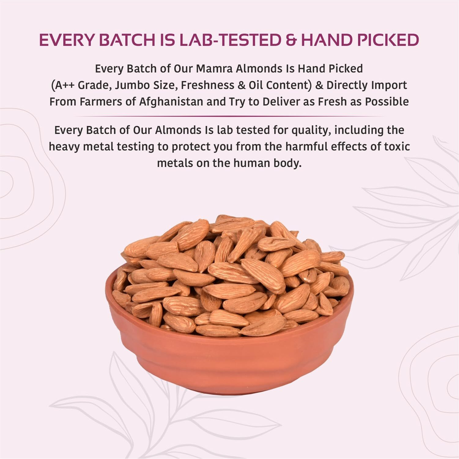 Nutty Organics Almonds Mamra - 1KG (Grade A ++ Nuts, Premium,Rich In Oil, Imported) Richest Natural Source of Vitamins, Magnesium & Protien | Special Mamra Badam Giri (500 GM*2)