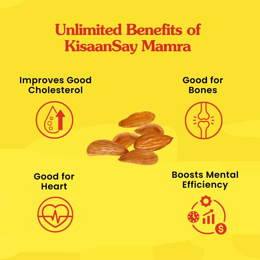 KisaanSay Kashmiri Mamra Almonds 250gm | High Oil Content | Vaccum-Packed At Source | Unpolished Badaam Giri | 100% Natural Crunchy Nuts & Dryfruits | Fresh As Just Harvested | Rich in Protein, Fiber