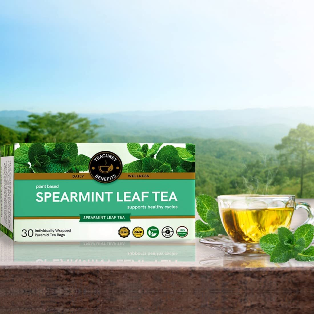 TEACURRY Spearmint Tea Bag - Helps With Hormonal Imbalance, Facial Hair, And Memory | Spearmint Tea Leaves (60 Tea Bags - 2 Month Pack), 60 Grams