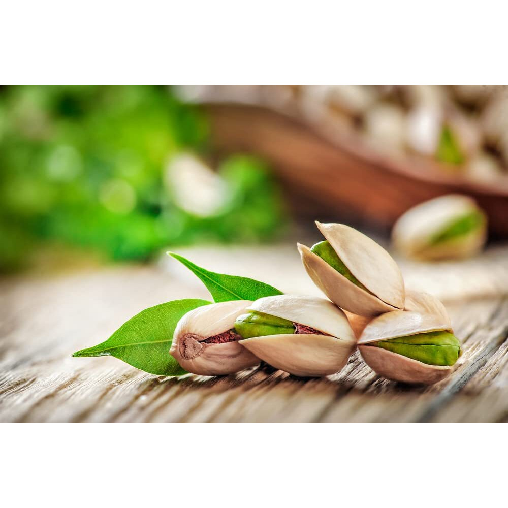 GreenFinity Fresh Whole Roasted Salted Pistachios | Salted Pista With Shell 200g (Pack of 2) [Jar Pack] - 400g