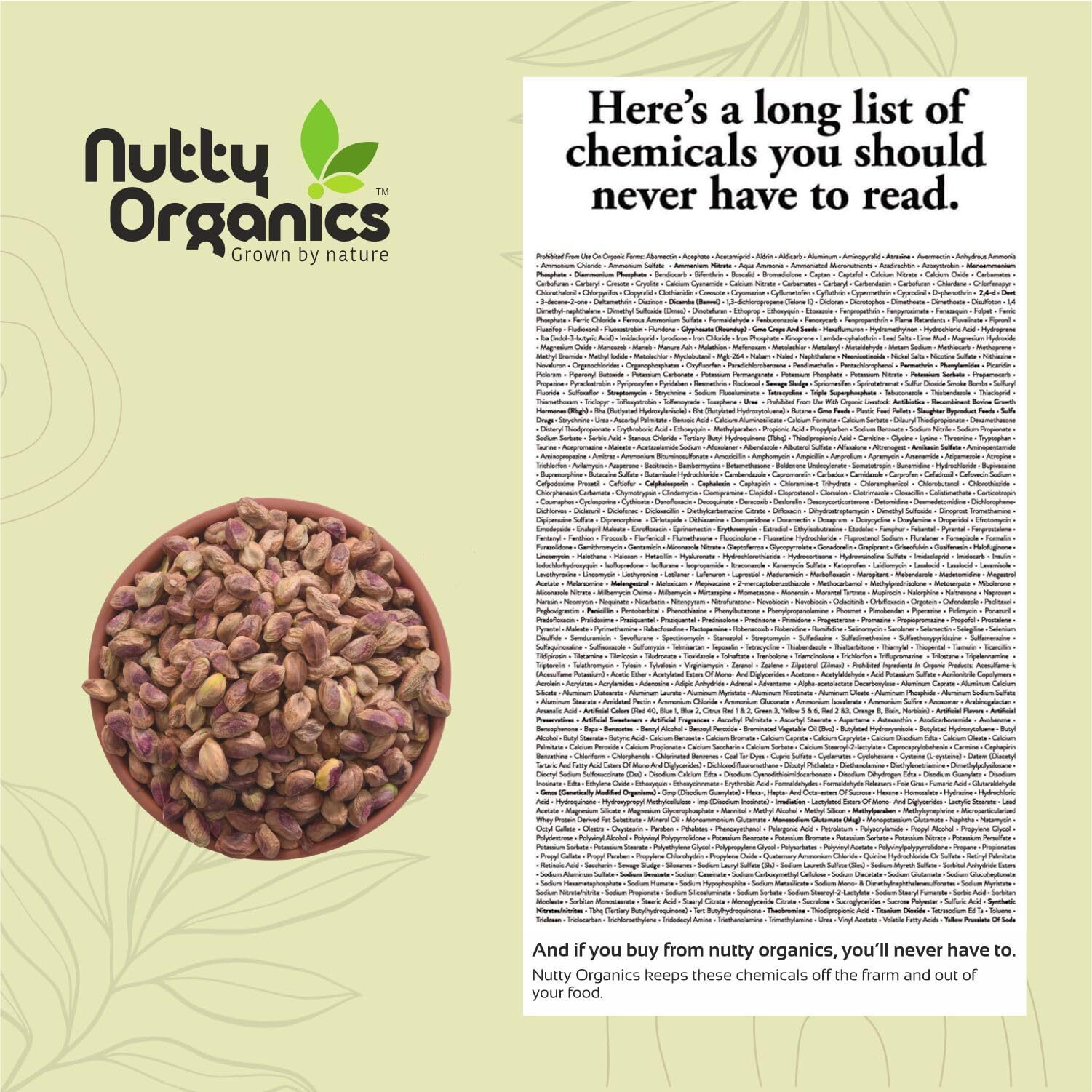 NUTTY ORGANICS Premium Unsalted Whole Pista Kernels - 500G | Imported | Fresh & Crunchy | (Grade A ++ Nuts, Premium Jumbo Size, Imported) - Air Tight Pouch