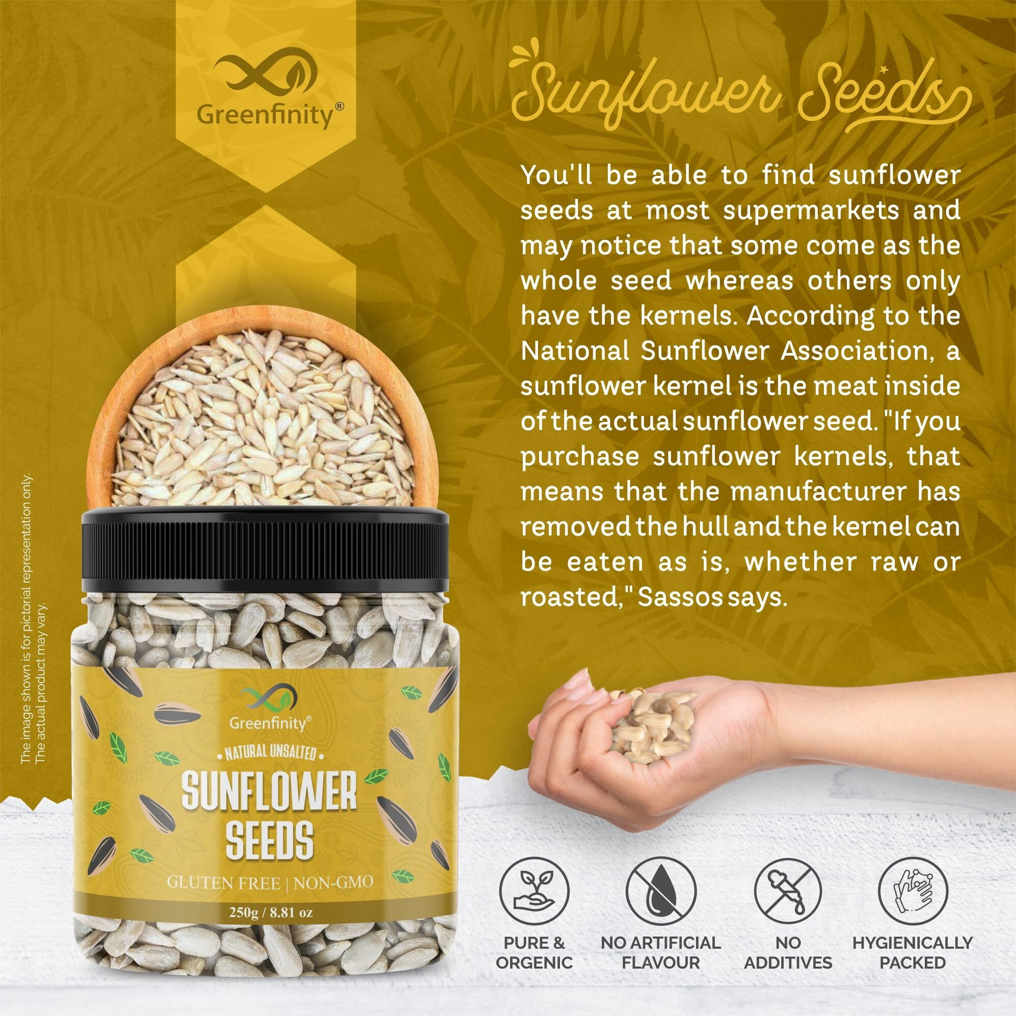 GreenFinity Sunflower Seeds | Surajmukhi Ke Beej Raw Sunflower Seeds for Eating, Healthy Seeds, Protein & Fiber Rich Superfood - 250gm(Pack of 2)