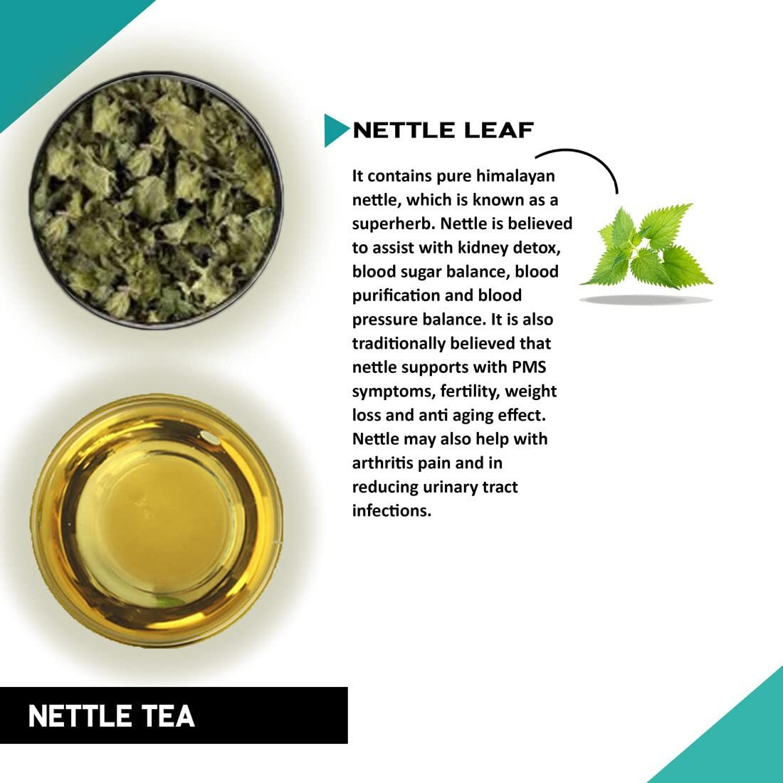 TEACURRY Stinging Nettle Tea (4 Months Pack, 120 Tea Bags) - Helps with Blood Sugar, Blood Purify, Kidney Detox - Nettle Tea Bags