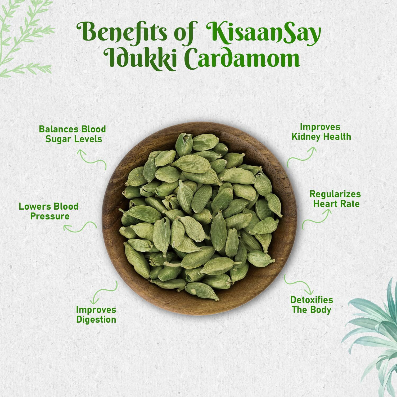 KisaanSay Idukki Cardamom 50 gm | Bold Size | Pure Elaichi | Natural | Distinctive Flavour & Aroma | No Artificial Colors